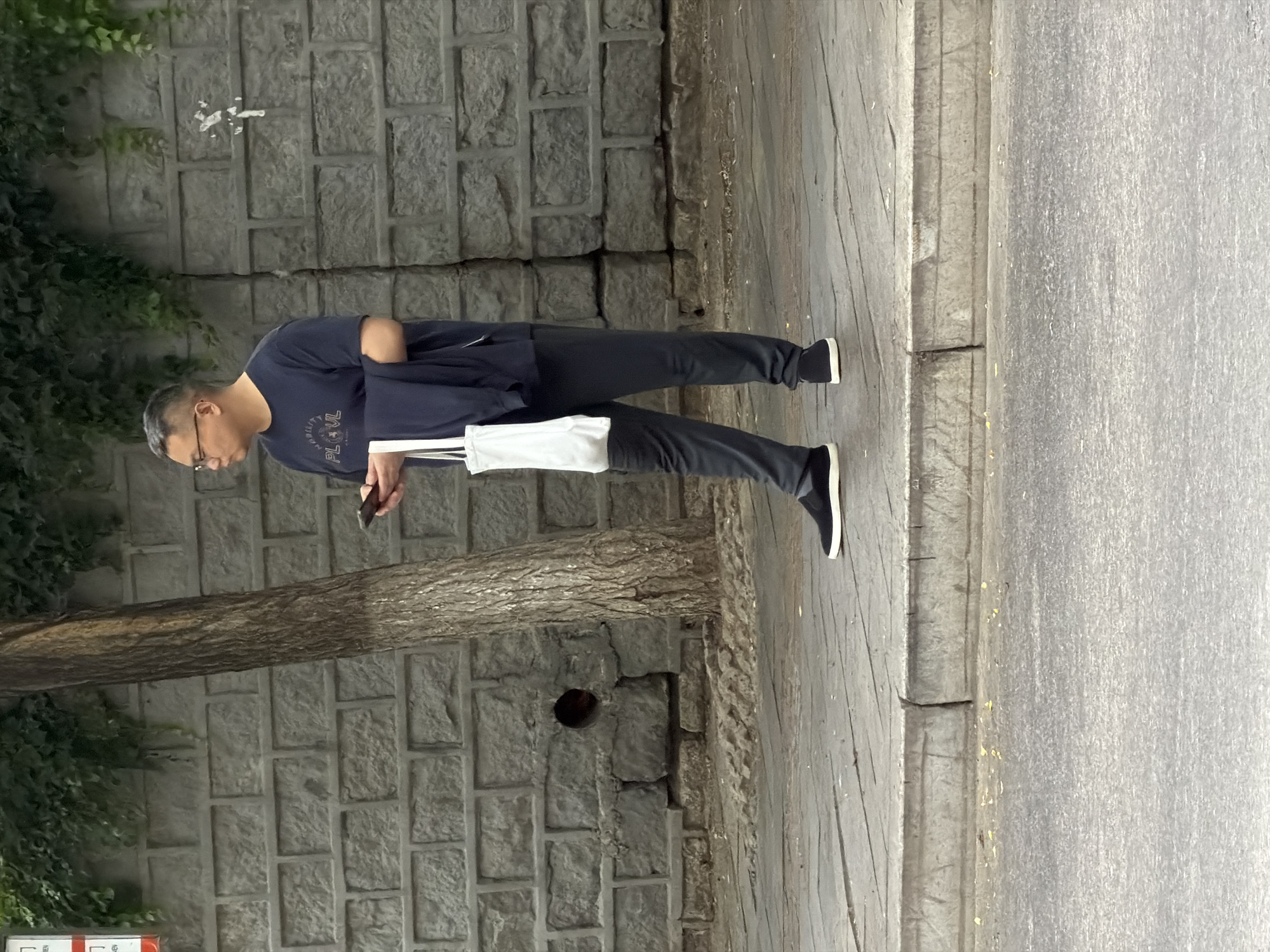 A man stands on a sidewalk in Zhongtun, China, holding a smartphone in his right hand and a white tote bag and dark garment in his left arm. He is wearing a navy blue t-shirt with a graphic design on the front, dark grey pants, and black slip-on shoes with white soles. The man has short, graying hair and wears glasses. Behind him is a stone wall covered with vines, and a tree trunk with rough bark is positioned in front of the wall. The sidewalk is made of grey concrete slabs, and a curb separates it from the asphalt road. The scene appears to be captured in daylight, with overcast conditions.