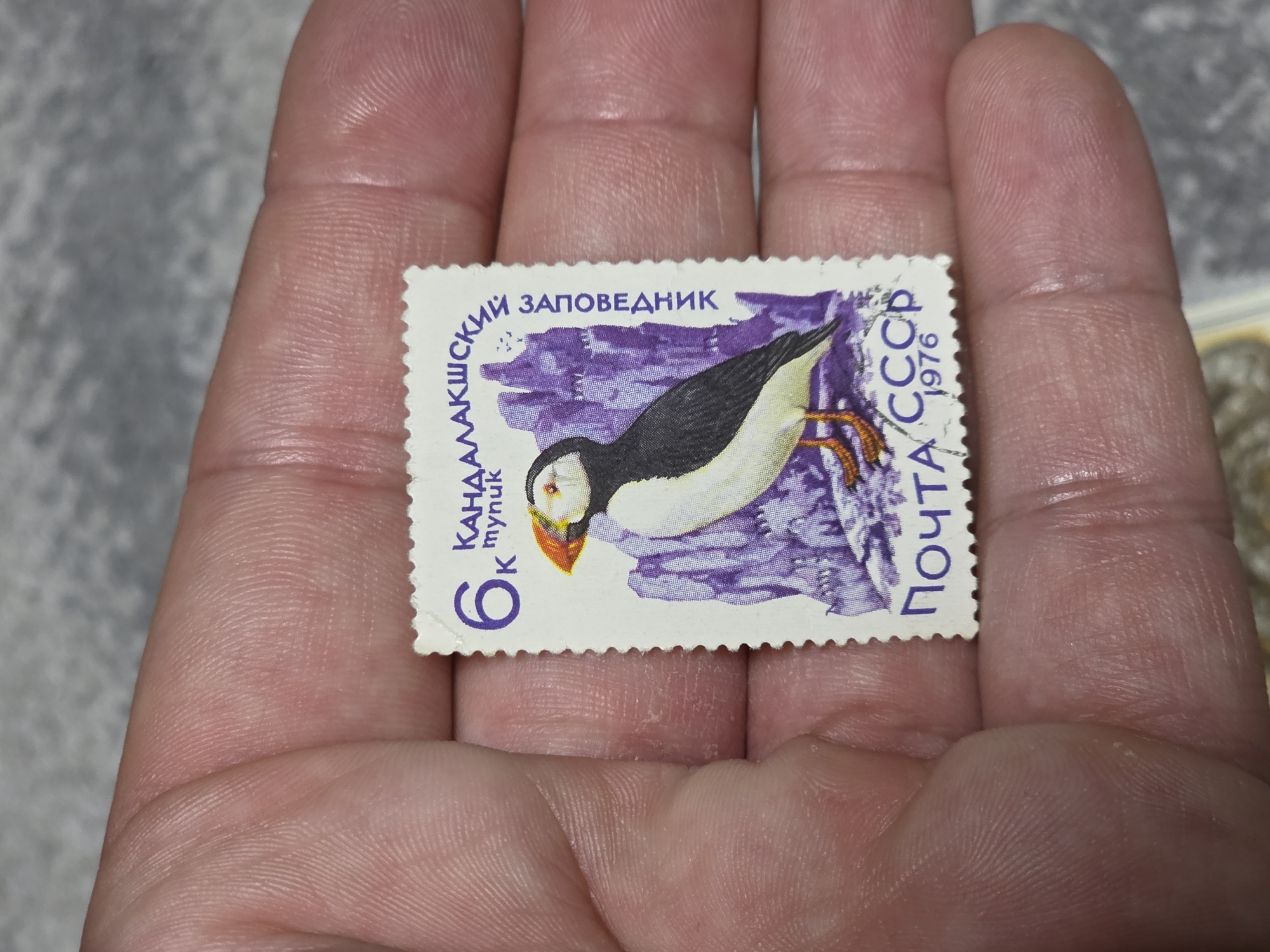 A stamp, displaying a bird with an orange beak (a puffin), is held in a human hand. The stamp is white with purple accents and includes the text "КАНДАЛАКШСКИЙ ЗАПОВЕДНИК", "ПОЧТА СССР", and "1976". The number "6" is also present. The background surrounding the hand is blurred and indistinct. This scene does not appear to be located in Varna, Bulgaria.