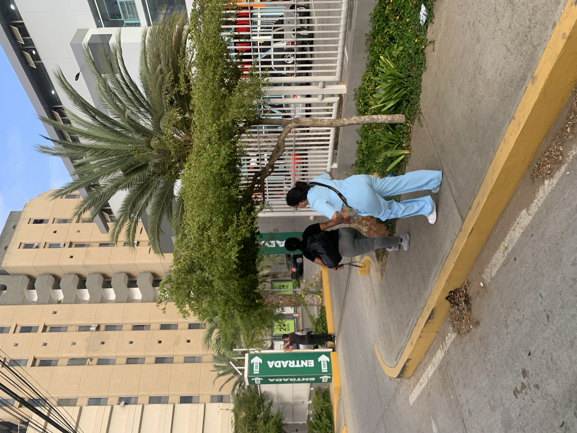 The image presents an outdoor street scene in Porlamar, Venezuela, depicting people and urban elements under a clear sky. The perspective is slightly tilted, showing a vibrant street level view.
In the foreground, a person wearing light blue medical scrubs and white sneakers is bending over, with their back largely to the viewer, appearing to attend to something low to the ground. This individual has dark hair tied back and is carrying a black shoulder bag. Adjacent to them, another person in a black t-shirt, grey pants, and white sneakers stands upright, carrying a black backpack. Further back on the street, a third person in dark clothing is visible near a large green sign.
The immediate surroundings consist of a concrete sidewalk bordered by a yellow curb and a paved road or driveway. The road also features yellow and white markings. Lush green vegetation, including a prominent palm tree, other leafy trees, and various shrubs, lines the sidewalk. A white metal fence runs along the property boundary behind the greenery, with parts of cars, including a white vehicle and a dark SUV, visible through its slats.
The background is dominated by two distinct buildings. On the left, a tall, multi-story building with a light-colored (beige/tan) facade displays numerous windows and structured balconies. On the right, a more modern, white building with large, dark-tinted windows or panels rises behind the trees.
A prominent green street sign is clearly visible, indicating "ENTRADA" (Entrance) with arrows pointing the direction, and the word "SOLO" (Only) also present. The bright lighting and clear sky suggest it is daytime, likely morning or late afternoon. The scene captures a moment of daily activity within an urban setting in a tropical region.