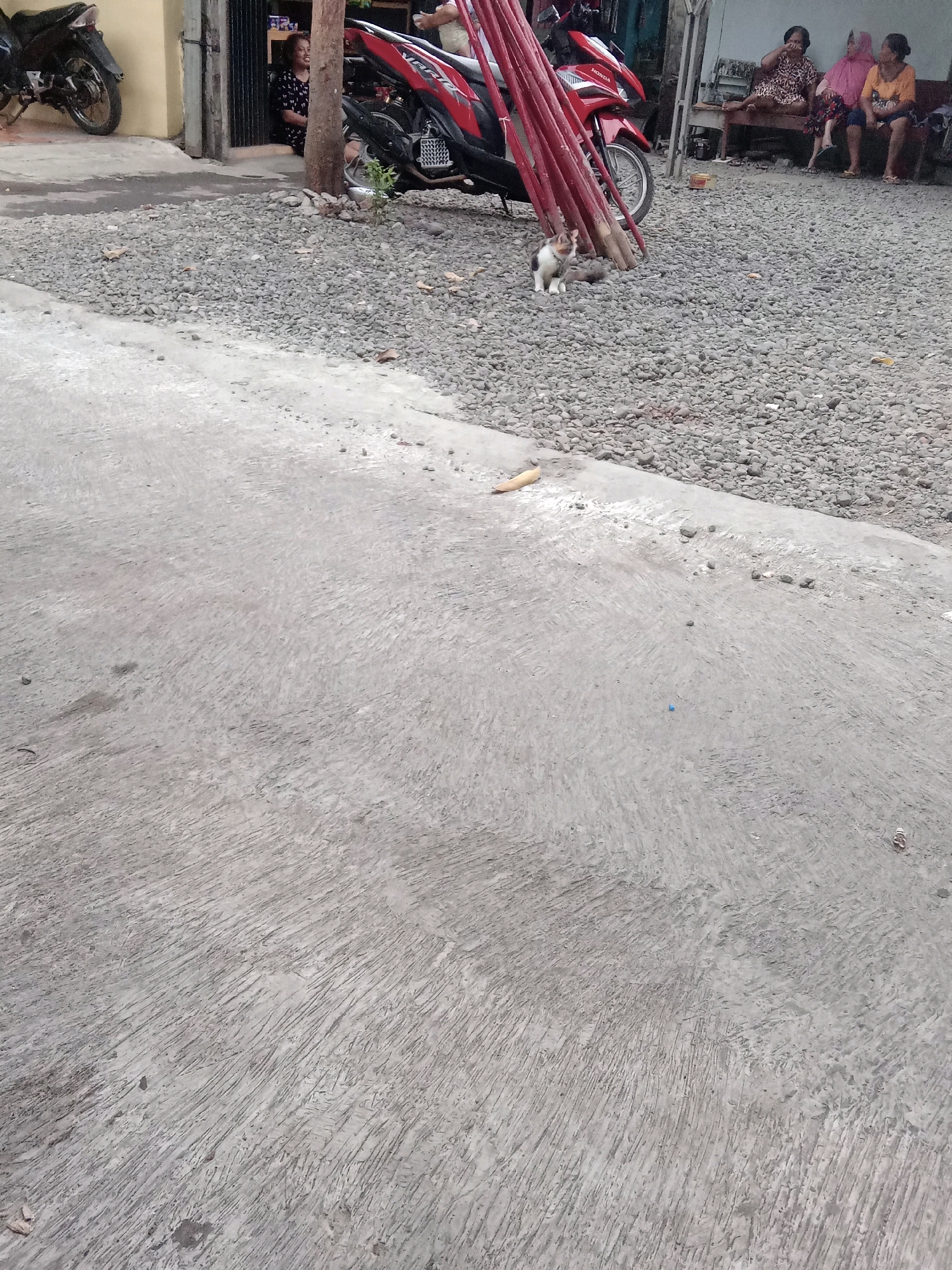A stray cat with white and brown patches sits on a gravelly surface in front of a stack of red wooden poles and a red and black motorcycle. In the background, three women are seated on a bench outside a building. A black motorcycle is parked to the left of the building. The scene appears to be a residential area in Desa Klahang, Indonesia, with a concrete walkway in the foreground and a mix of gravel and pavement in the background.