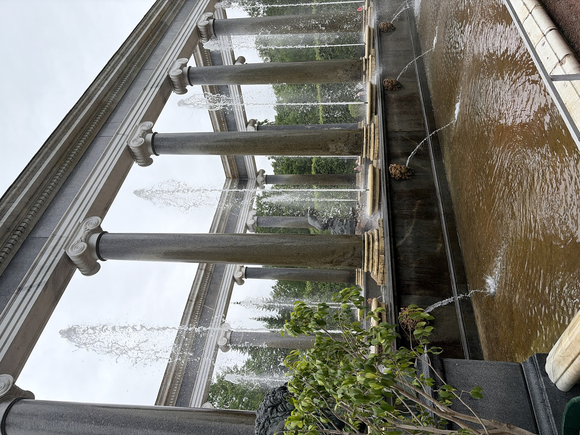 This is a photograph of the Grand Cascade at Peterhof Palace, located in Petergof, Russia, near Saint Petersburg. The image captures a section of the monumental fountain ensemble, characterized by its classical architecture and numerous water features. In the foreground, a lush green shrub with a thin trunk and numerous leaves is positioned to the left, partially obscuring a dark stone pedestal. Behind the shrub, the ornate structure of the fountain is visible, featuring a row of large, fluted Corinthian columns supporting a classical entablature. Water jets erupt from various points of the fountain, creating a dynamic display of falling water. Some jets spray upwards from circular basins atop the colonnade, while others stream downwards from decorative lion-head spouts along the base. The water collects in a large, brown-hued pool in the foreground, with ripples and splashes indicating the continuous flow. In the background, a dense line of green trees forms a backdrop to the architectural elements and fountains. The sky is overcast with a pale, diffused light. A few indistinct figures of people can be seen in the mid-ground, observing the fountains. The overall impression is one of grandeur and a meticulously designed water garden.