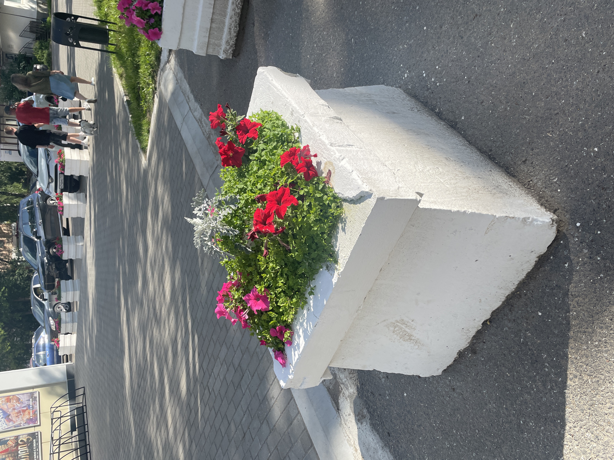 The image depicts an outdoor scene on a paved area in front of a building, likely in Chaikovsky, Russia. In the foreground, a large, white, rectangular concrete planter box is filled with lush green foliage and a vibrant arrangement of pink and red petunias. The planter box shows some wear and tear, with chipped edges.
Behind the planter, a paved walkway, possibly made of interlocking bricks, is visible, with shadows cast from an unseen overhead structure. Further in the background, several parked cars are present, including a black SUV, a silver sedan, and a blue sedan. White rectangular planters, similar to the one in the foreground, are placed in front of some of the vehicles.
Three individuals are walking away from the camera on the paved area. One person, wearing a red t-shirt and light-colored shorts, is in the center. To their left is a person in a black short-sleeved shirt and dark shorts, and to the right is a person in a green top and a light blue skirt. A small, light-colored dog is walking in front of the central figure.
In the far background, elements of a building and trees are visible, suggesting an urban or suburban setting. The overall scene suggests a public space, possibly a plaza or a parking area adjacent to a commercial establishment. The lighting indicates it is daytime, with sunlight casting distinct shadows.