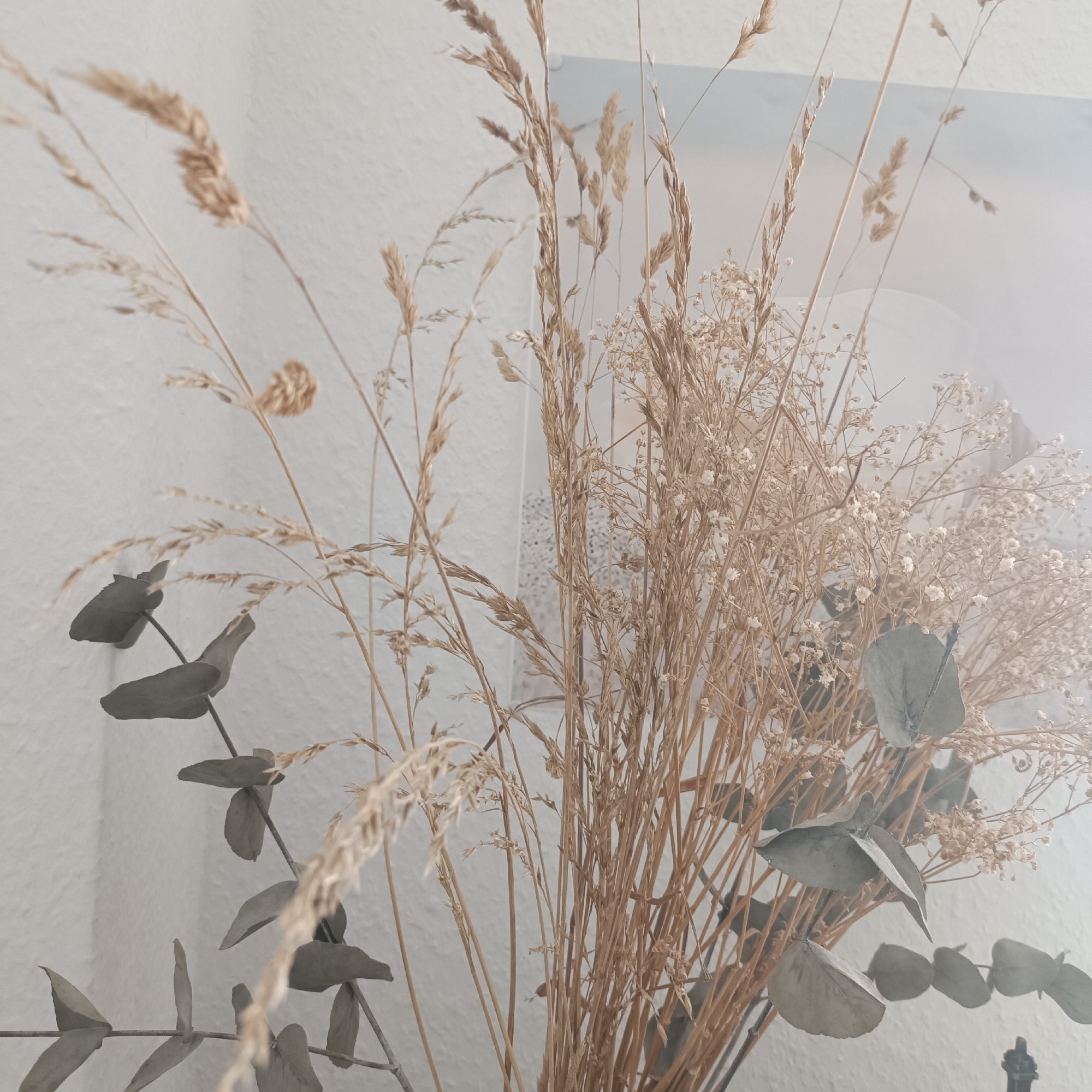 A close-up shot of a dried floral arrangement, featuring wheat stalks, baby's breath, and eucalyptus leaves against a textured white wall. The lighting is soft and diffused, creating a gentle, hazy effect. The arrangement is positioned indoors, with no visible signs of the city of Rüsselsheim am Main, Germany. There are no people or animals present, and no actions or interactions are depicted. The focus is solely on the textures and muted colors of the dried botanicals.