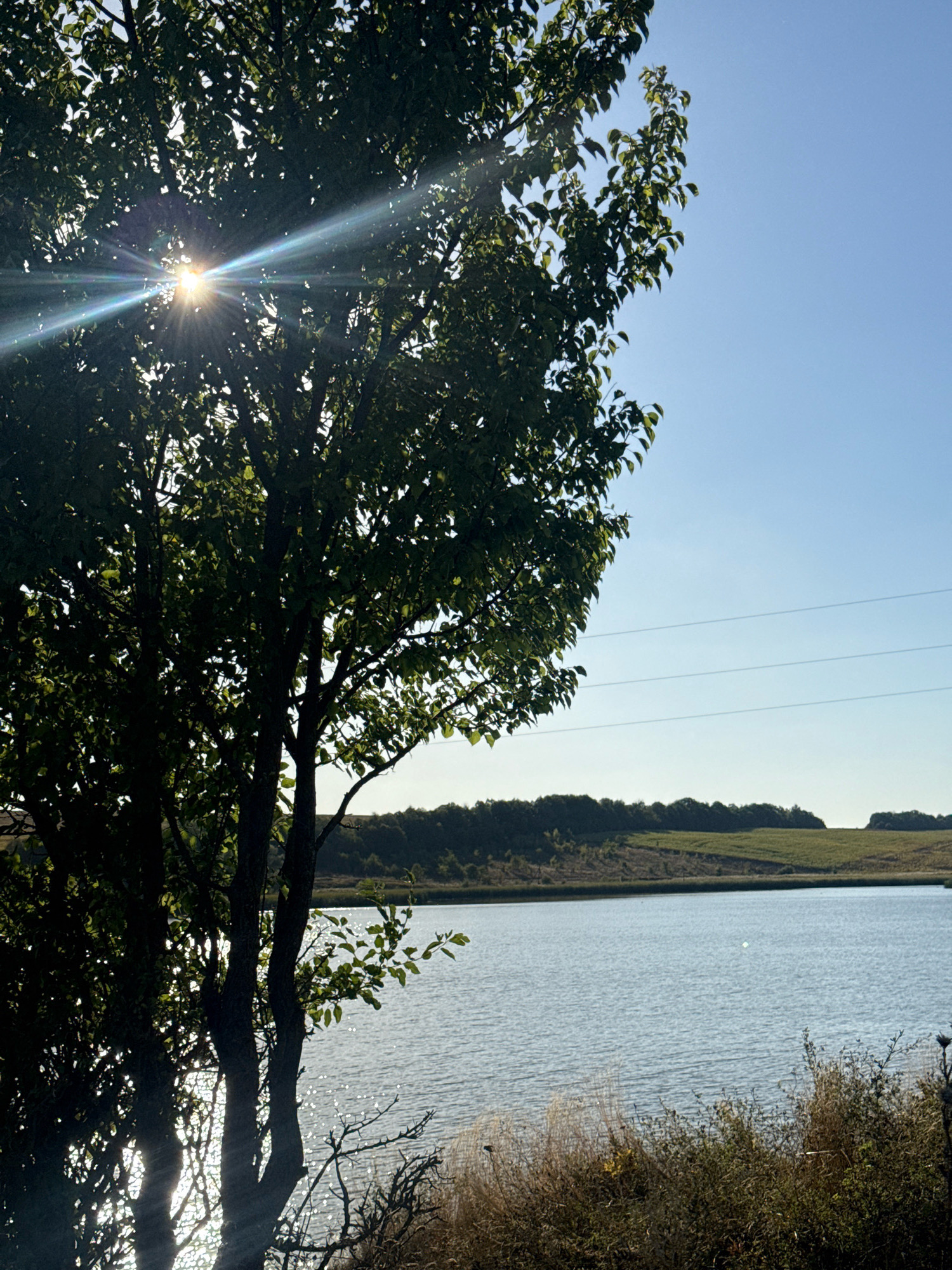 The image depicts a body of water, likely a lake, in the city of Kuna, Ukraine. In the foreground, a large tree with dense green foliage is positioned to the left, with sunlight streaming through its branches, creating a lens flare effect. The tree's trunk is dark and textured, and some bare, thorny branches are visible in the lower right foreground.
The body of water stretches across the middle of the frame, reflecting the sunlight with a shimmering effect. In the distance, rolling hills covered in greenery and possibly agricultural fields form the horizon. Power lines are faintly visible against the clear blue sky. The overall environment suggests a natural, serene landscape under bright daylight. No people or specific activities are depicted in the scene.