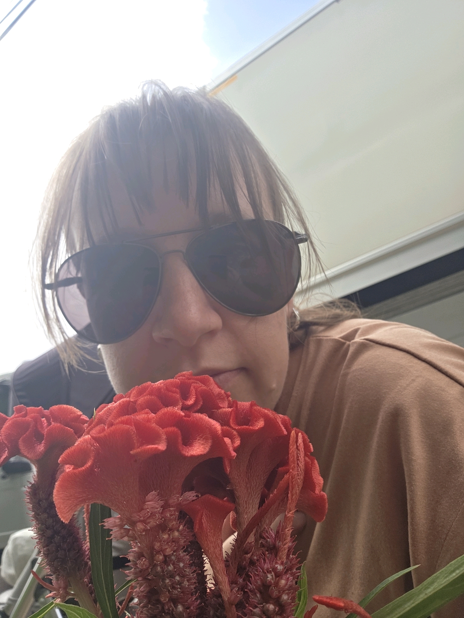 A woman wearing aviator sunglasses and a light brown t-shirt holds red celosia flowers close to her face, obscuring her nose and mouth. Her brown hair is cut in bangs, and her left ear is visible. The background consists of a white structure and a bright sky. This scene is located in Dunnae-myeon, South Korea.