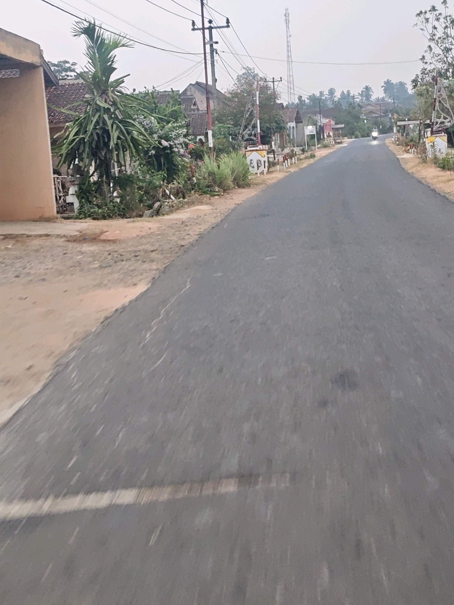 The image depicts a roadside scene in Karang Sari, Indonesia. A paved road stretches into the distance, bordered by a dirt shoulder on the left. On the left side of the road, a tan-colored building with a red-tiled roof is partially visible, adjacent to a lush green dragon fruit plant. Further along the road, several houses with red-tiled roofs are nestled amongst vegetation. Utility poles with power lines are visible along the roadside. In the distance, a motorcycle with its headlight on is approaching. On either side of the road, there are what appear to be railway crossing barriers. The sky is overcast. The image appears to have been taken from a moving vehicle, as indicated by motion blur.