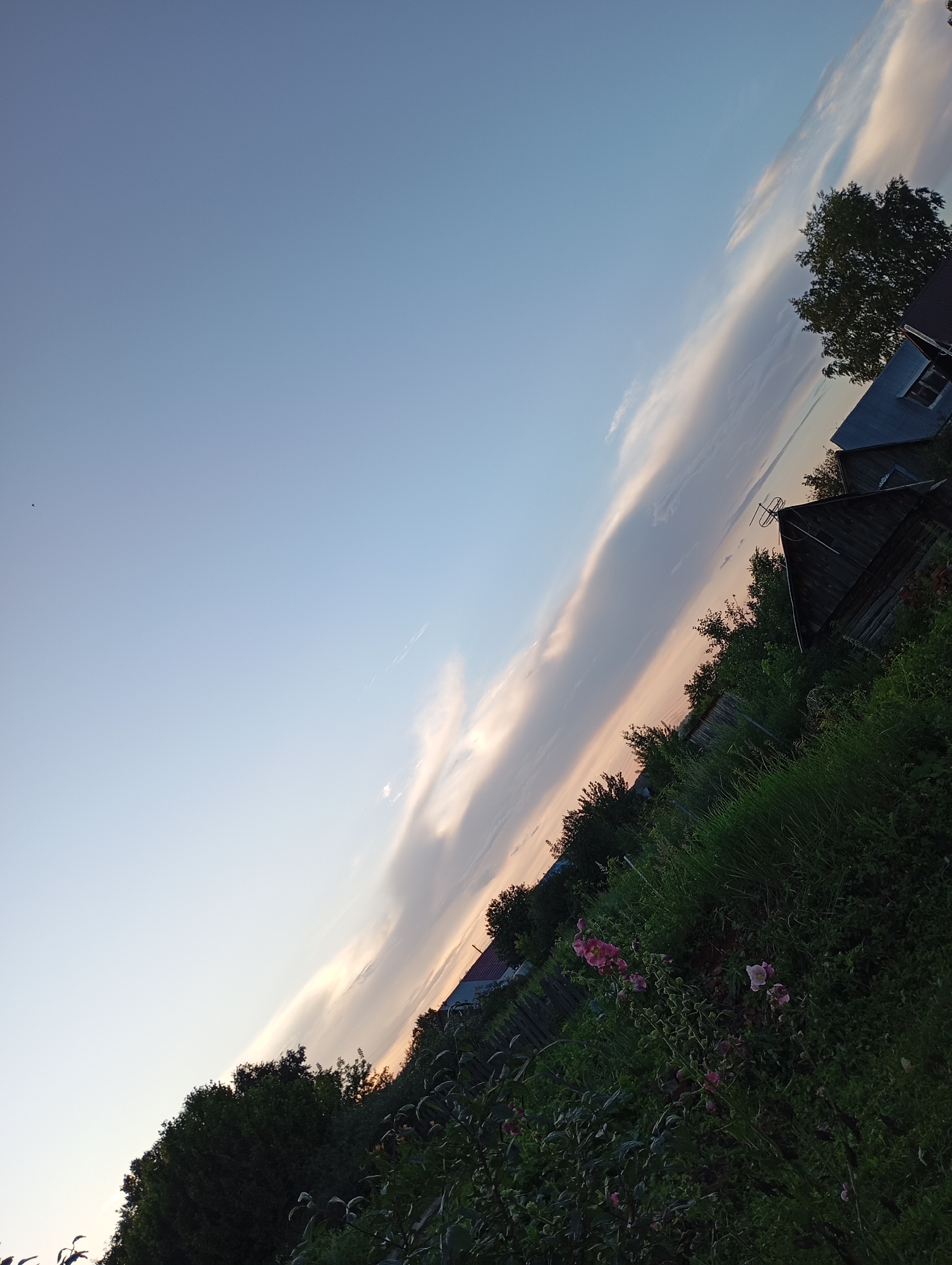 This is a photograph of a rural landscape in Foki, Russia, taken at sunset. The image is oriented diagonally, with the sky occupying the upper left portion and the ground on the lower right. A pale blue sky transitions to soft hues of pink and orange near the horizon, indicating the end of the day. A thin, elongated cloud stretches across the sky, catching the fading sunlight.
In the background, several wooden structures, likely rural houses or sheds, are visible amidst trees and lush green vegetation. One building has a dark, sloped roof and a window. A large tree with dark green foliage stands near the buildings. The foreground is dominated by a dense growth of grass, weeds, and some pink flowers, suggesting a natural or uncultivated garden area.
The overall mood is serene and peaceful, typical of a quiet evening in the countryside. There are no people or specific activities depicted. The presence of wooden houses and the natural overgrowth are characteristic of a rural Russian setting. The time of day is clearly sunset, with the warm tones in the sky and the soft light. The weather appears clear, with only a few wispy clouds. No text is visible in the image.