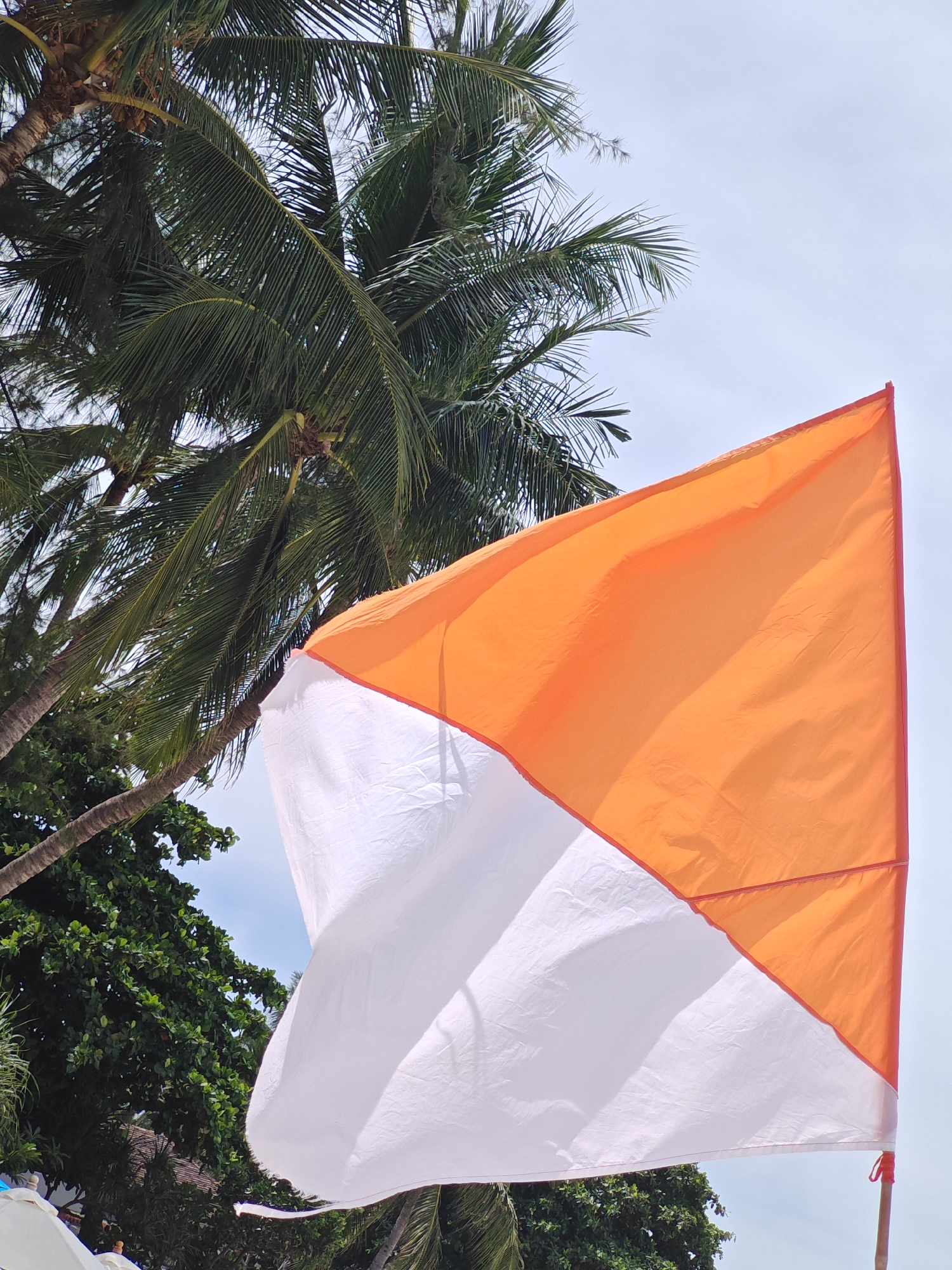 An orange and white flag is positioned prominently in the foreground of the image, fluttering gently. The flag is diagonally divided, with the top section being orange and the bottom section being white. To the left of the flag, several palm trees with their fronds are visible, some reaching towards the sky. Lush green foliage from other trees forms a dense backdrop beneath the palm trees. The sky is a pale blue, with a slight haze. The image appears to be taken outdoors, likely in a tropical environment. The scene is consistent with a beach or coastal area. While the specific location within Baan Chaweng, Thailand is not explicitly identifiable from the visual elements alone, the presence of palm trees, lush vegetation, and a bright sky suggests a warm, possibly humid climate commonly found in such locations. No people are visible in the frame.