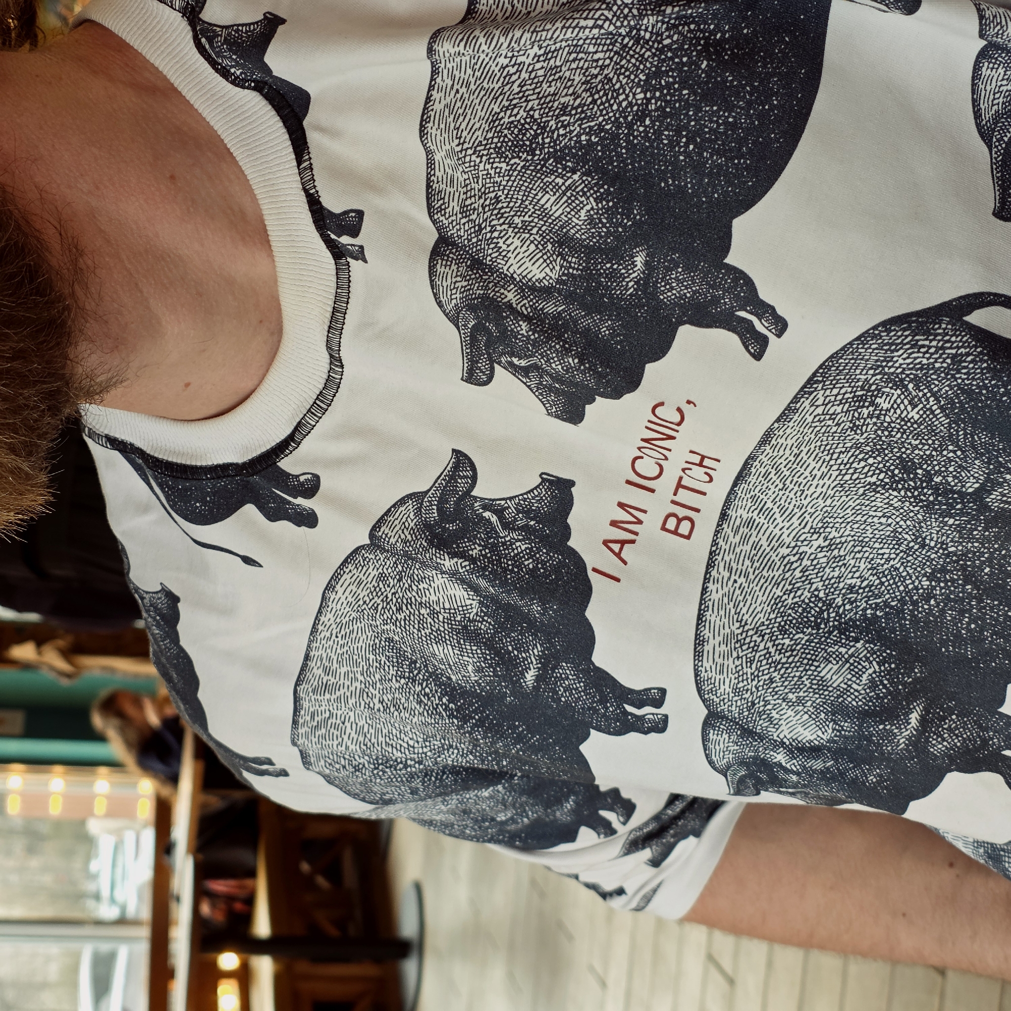 A close-up, vertically oriented photograph captures the upper torso and neck of a person, revealing a patch of reddish-brown hair or beard on the left side. The person is wearing a white crew-neck t-shirt adorned with a repeating pattern of stylized black-and-white illustrations of pigs. The pigs are depicted in an etched or woodcut style, showing textured hides and robust forms. Between two of these pig illustrations, red capitalized text reads, "I AM ICONIC, BITCH". The white ribbed collar of the t-shirt is visible around the neck.
The background is out of focus, suggesting an indoor setting with warm, blurry lights and dark, indistinct shapes, possibly wooden furniture or architectural elements, hinting at a public space like a cafe or bar. No specific activity or emotion is discernible from this partial view. The time of day and weather are not evident from the indoor setting. While the image itself does not provide specific visual cues, the location context provided is Saint Petersburg, Russia, implying an urban indoor environment.