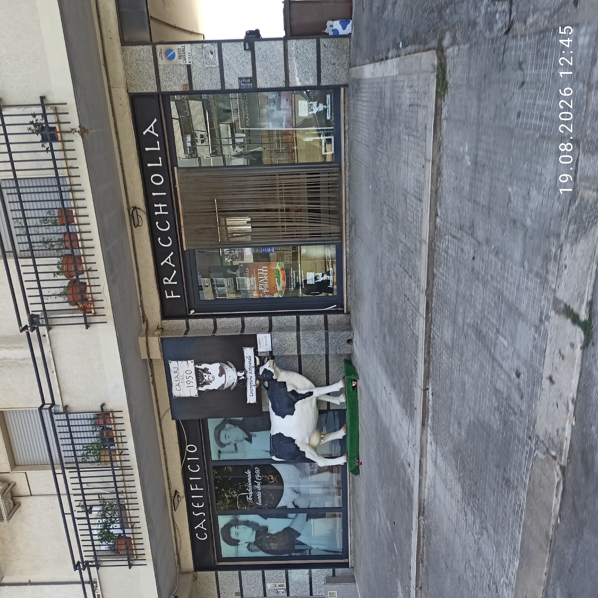The image shows the exterior of a dairy shop called "CASEIFICIO FRACCHIOLLA" in Ruvo di Puglia, Italy. The shop has large glass windows displaying black and white images of people. A life-size statue of a black and white cow is placed in front of the shop on a green mat. A sign above the shop reads "CASEIFICIO FRACCHIOLLA". To the left of the entrance, there is a sign with a drawing of a cow and the text "CASARI DAL 1950". The ground in front of the shop is paved with grey stone. The image was captured on August 19, 2026, at 12:45.
