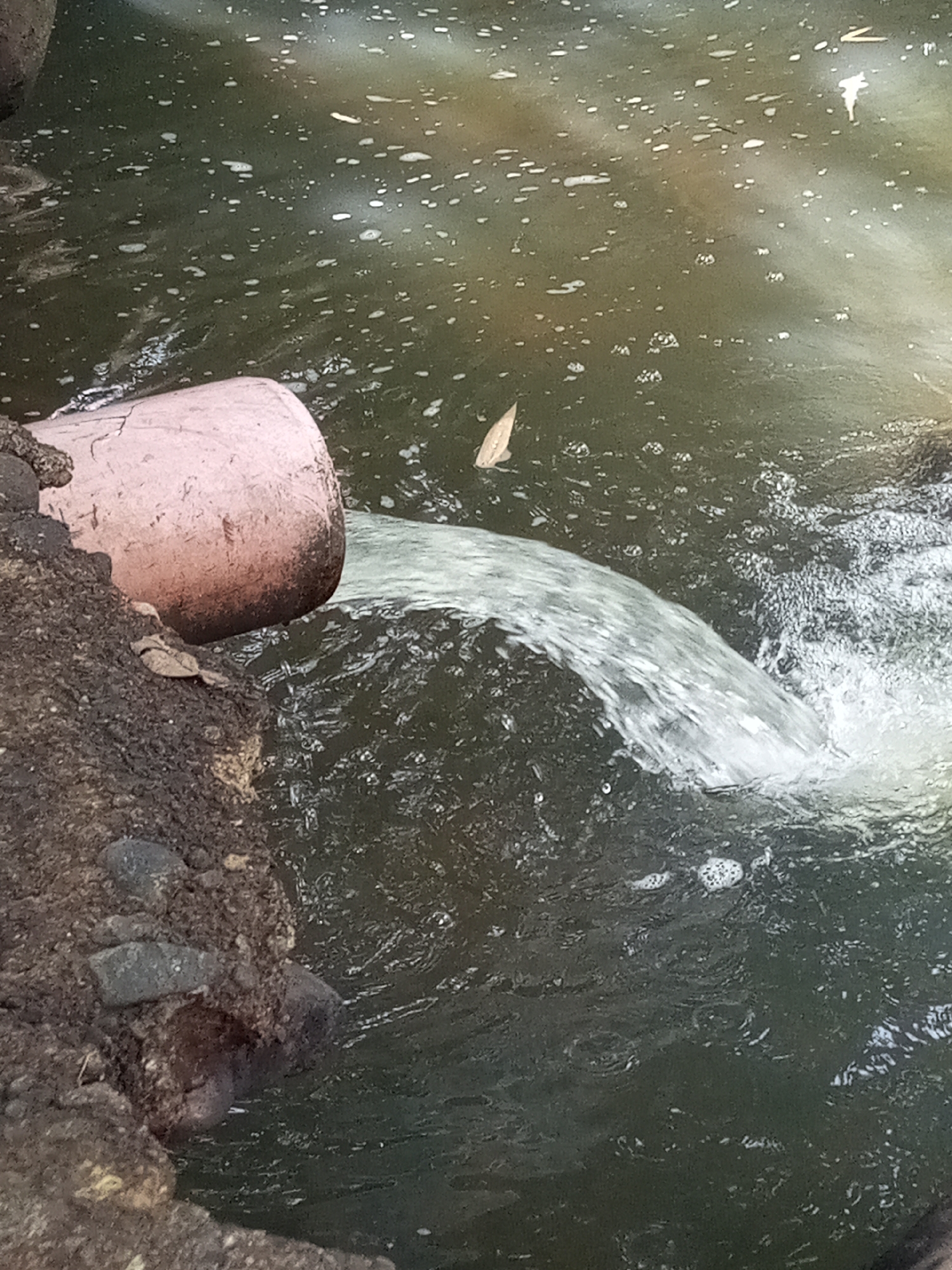 A pipe discharges water into a body of water. The pipe is cylindrical and pale pink with brownish stains. The water flowing from the pipe is clear and creates a splashing effect upon entering the darker water. The body of water contains small bubbles and debris. The pipe rests on a dark, rocky bank. A single leaf floats near the water's surface. The location is Davao City, Philippines.