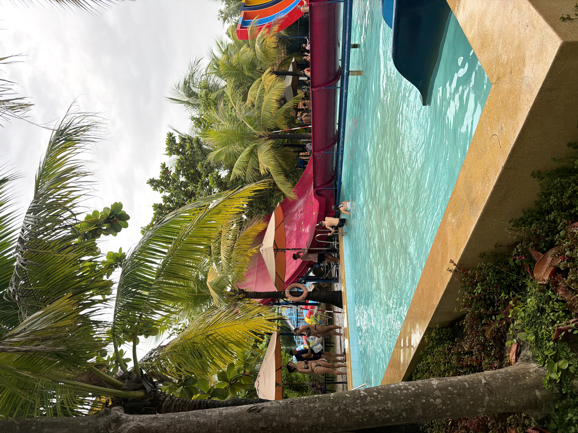 This is a photograph of a water park in Nha Trang, Vietnam. The image features a large swimming pool with clear turquoise water and a yellow tiled edge. To the left, a tall palm tree with green fronds is visible, as well as a smaller, darker tree trunk. In the background, there are several other palm trees and lush greenery.
On the left side of the pool, near the edge, four individuals are standing. Two women in bikinis are talking, and a man is standing between them, looking towards the camera. Another woman in a bikini is standing slightly further back, also in conversation. Two beige umbrellas are set up near this group, providing shade.
A prominent red water slide curves into the pool from the left side of the image. A life preserver ring is hanging on a pole next to the slide. To the right of the slide, a multi-colored water slide, predominantly red, yellow, and blue, is visible.
In the pool itself, several people are present. A young boy in dark shorts is in the water near the red slide, appearing to be swimming or playing. Further to the right, a blue water slide entry is partially submerged in the pool. The sky above is overcast and pale. The overall scene depicts a lively recreational area with people enjoying a day at the water park.