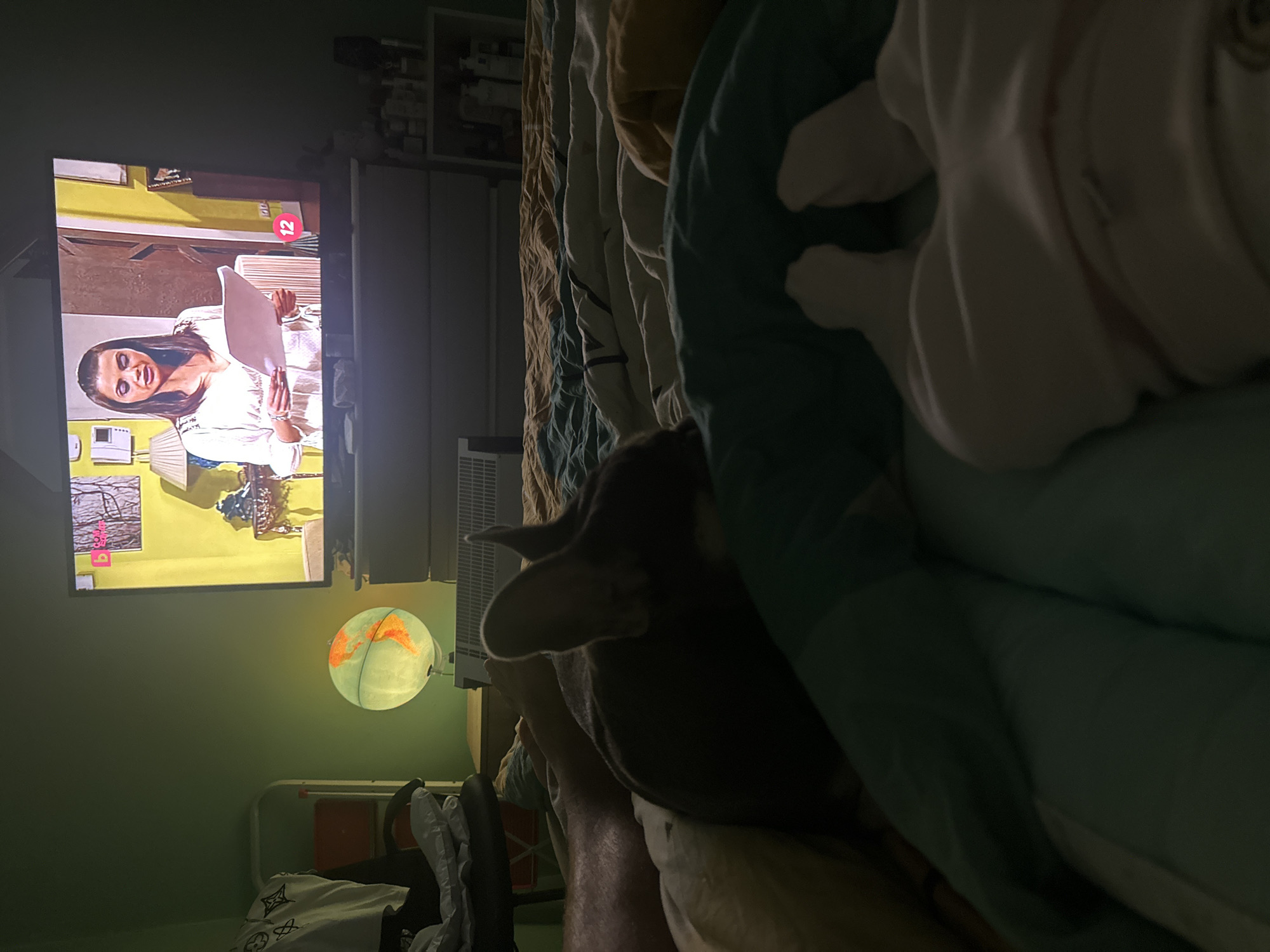 The image displays a dimly lit bedroom scene, captured from a low angle, likely from a person lying in bed. The photo appears rotated 90 degrees counter-clockwise, showing subjects and objects as if viewed from the side.
On the left side of the frame, a flat-screen television is mounted on a wall, displaying a woman with dark hair wearing a light-colored top, holding a white folder or document. She appears to be a news anchor or presenter. A red numeral "12" is visible in the top right corner of the TV screen, possibly indicating a channel number or time.
Below the television and to the right, a glowing globe lamp emits a warm, orange and yellow light onto the green wall. An air conditioning unit or vent is situated between the TV and the globe.
In the foreground and center-right, a dog with dark fur (possibly a French Bulldog or similar breed) is visible, resting close to what appears to be a person's leg and arm, covered by bedding. The person's leg, partially visible, has some hair. The bed is covered with multiple layers of blankets featuring various patterns and colors including teal, brown, and white. A white sheet with a faint, repeating pattern (possibly "LV" monogram) is also visible towards the bottom right.
The overall scene suggests a relaxed evening or nighttime setting, with an individual and their dog comfortably watching television in bed, illuminated primarily by the TV screen and the glowing globe.