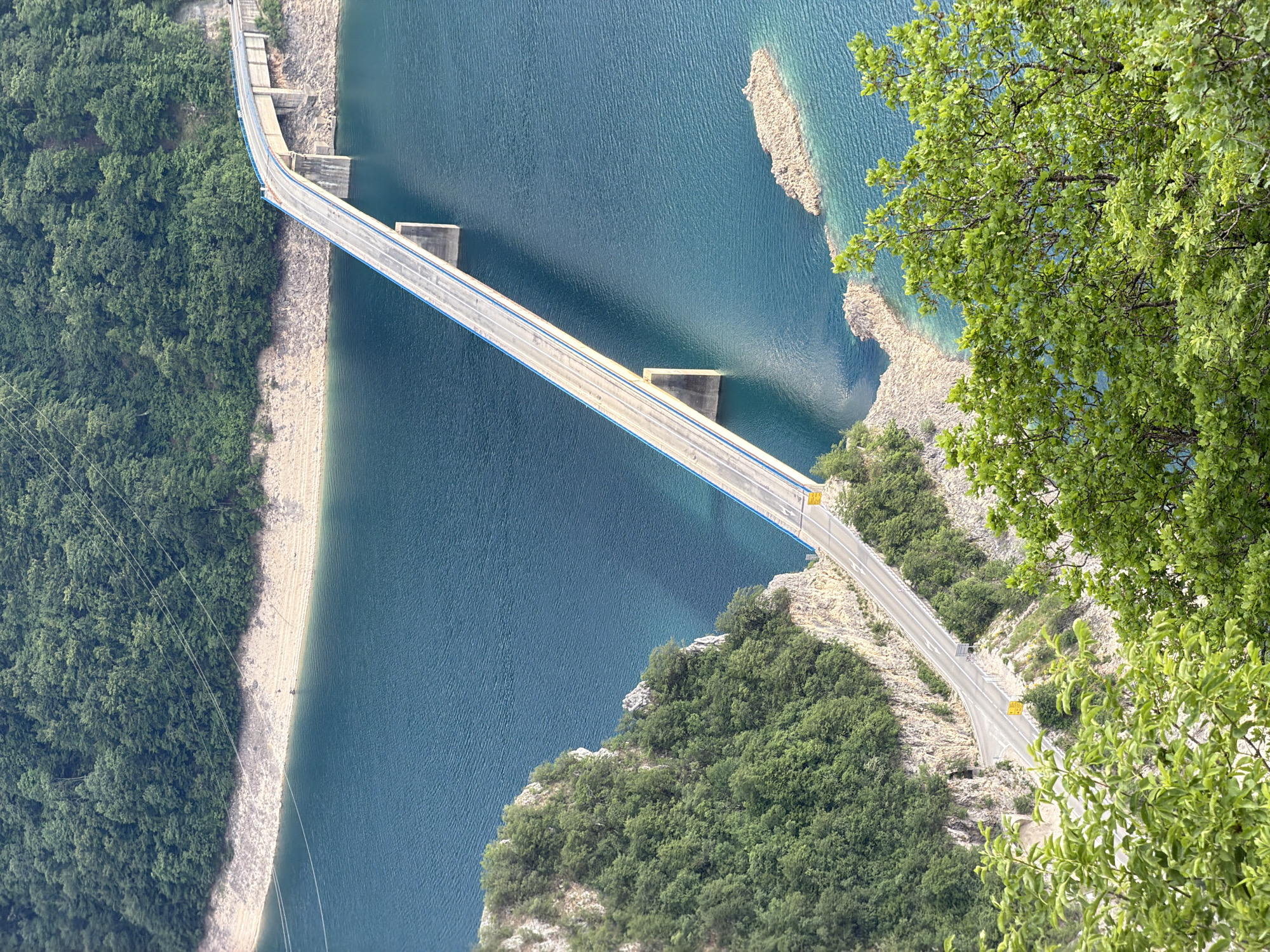 The image captures the Piva Lake Bridge in Plužine, Montenegro, from an elevated, slightly canted viewpoint. The bridge spans the dark blue waters of Piva Lake, connecting forested areas. The bridge has a light-colored roadway with blue guardrails and concrete supports extending into the lake. The landscape on either side is composed of greenery, rocky terrain, and exposed shorelines revealing the waterline. A tree with green foliage occupies the lower right corner, partially obscuring the scene.