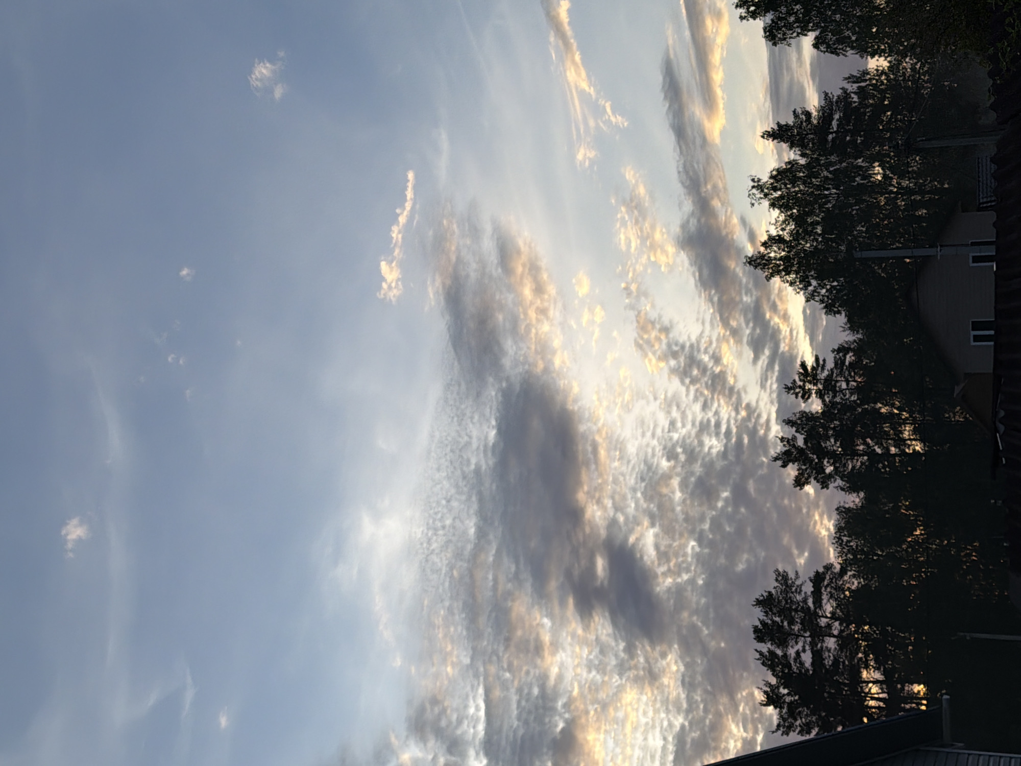 The image captures a dramatic sky filled with clouds, likely during sunrise or sunset, given the warm, golden light. The scene is primarily dominated by the sky, which transitions from a lighter, clear blue on the left to a more complex interplay of clouds towards the right.
The clouds display varied formations and textures. On the far left, the sky is relatively clear with a few small, wispy white clouds. Moving towards the center and right, the clouds become denser and more layered. Many of these clouds are illuminated from behind or from the side by a low sun, casting parts of them in shades of bright gold and orange, contrasting with their darker, grey undersides. Some clouds appear as long, streaky formations, while others are more broken and patchy, creating a textured pattern across the sky.
In the lower right portion of the image, the silhouettes of several trees are visible, their dark forms contrasting sharply against the brightly lit clouds and sky behind them. Portions of buildings, including roofs and walls, can be seen peeking out from behind the trees, also mostly in silhouette, suggesting a residential or semi-rural setting. The overall lighting suggests the "golden hour," bathing the scene in a soft, ethereal glow. No people or visible text are present in the image. The location context given is Kerro, Russia.