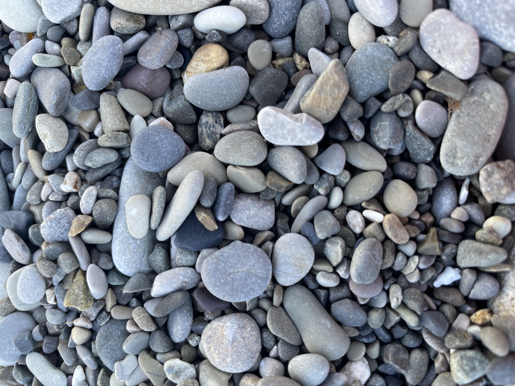 A high-angle, full frame, close-up shot showcases a dense collection of smooth, rounded pebbles. The pebbles vary in size and color, with dominant hues of gray, white, and tan, interspersed with darker gray and occasional brown stones. The surface is uneven, with pebbles overlapping and creating various depths and textures. The lighting appears to be natural, possibly overcast, casting soft shadows and highlighting the smooth surfaces of the stones. No people, animals, or structures are visible in the image. The scene is one of natural elements, likely a beach or riverbed.