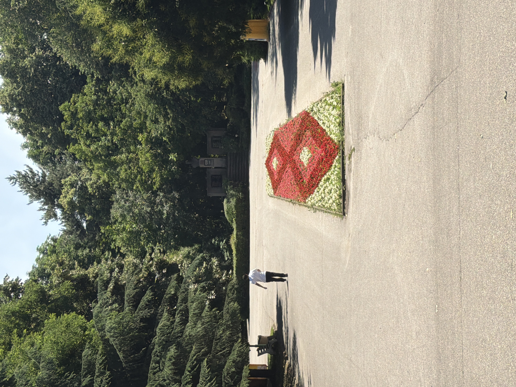 The image depicts a park-like setting in Pazardzhik, Bulgaria. In the foreground, a person in a white shirt and dark pants walks away from the camera on a paved pathway. To the right of the path, a long, rectangular flowerbed is elaborately arranged with red and white flowers, forming a diamond pattern. In the background, a monument with stairs leading up to it is visible, surrounded by lush green trees. To the left of the pathway, a bench is situated beneath a large evergreen tree, and a yellow trash receptacle stands further down the path. The overall environment appears to be a public park on a sunny day.
