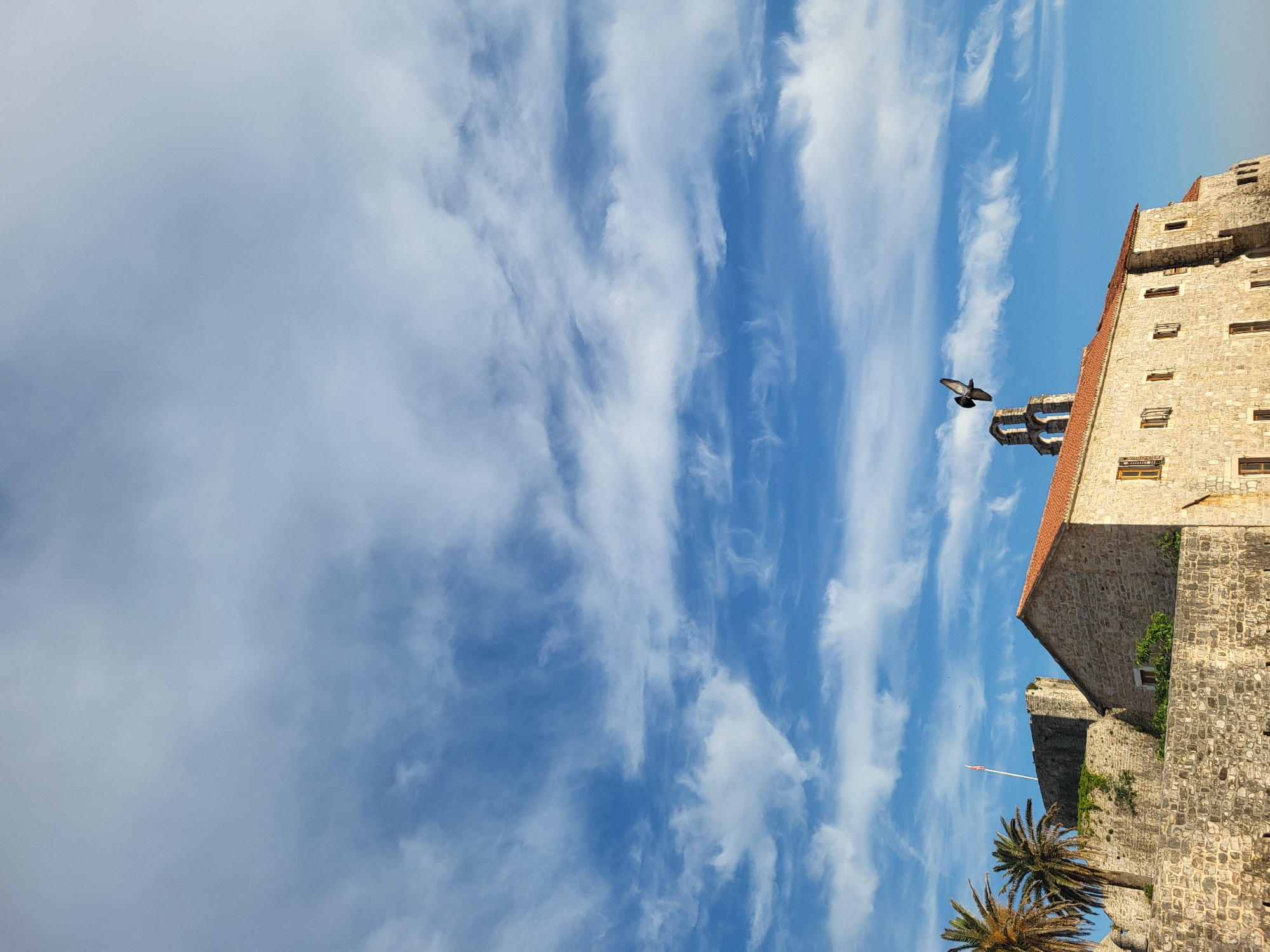 The image displays a vibrant blue sky adorned with wispy, streaky white clouds, dominating the upper and left portions of the frame. On the right and bottom, an old stone building with a reddish-orange tiled roof and multiple rectangular windows occupies the scene. The architecture suggests a historic structure, possibly part of a fortress or an old town wall.
A bird, resembling a pigeon or dove, is captured mid-flight against the bright sky, its wings outstretched near the building's roofline. Below the stone structure, the fronds of a few palm trees are visible, hinting at a warm, possibly coastal, environment. A flagpole with a red and white flag is also seen behind a lower stone wall and the palm trees, adding a subtle touch of local identity.
The scene takes place during clear daytime, with bright sunlight and fair weather. The combination of ancient stone architecture, lush palm trees, and the expansive blue sky evokes a sense of historical charm and natural beauty. This setting aligns with the provided context of Budva, Montenegro, renowned for its ancient fortifications and picturesque coastal towns. No visible text is present in the image.