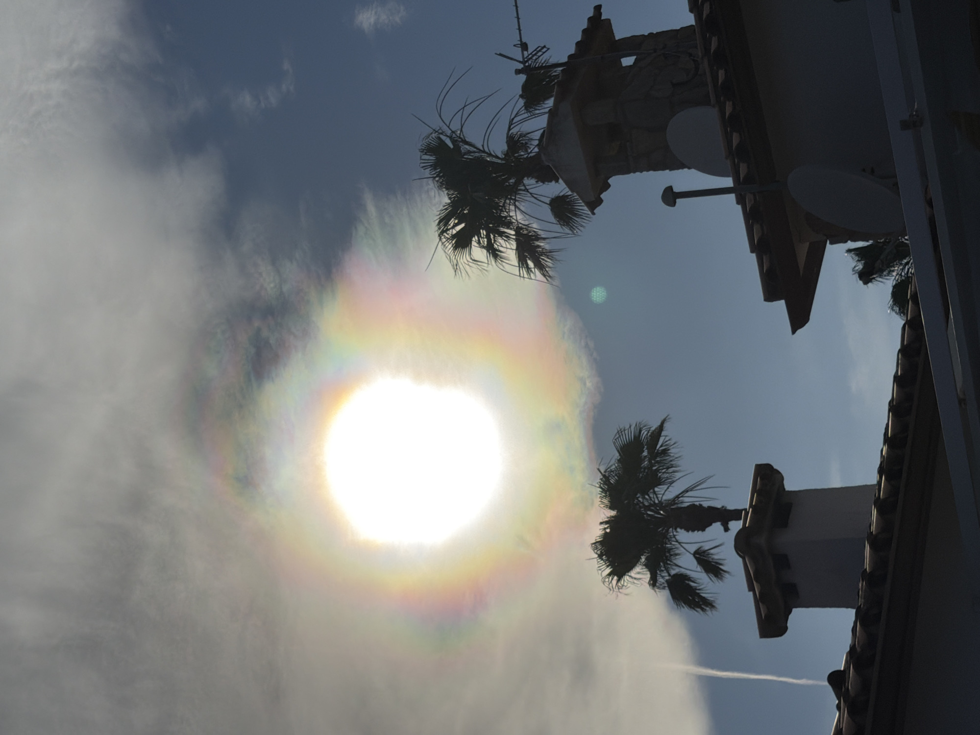 The image, taken in Mont-roig del Camp, Spain, features a striking atmospheric optical phenomenon: a bright, overexposed sun surrounded by a vivid solar corona or iridescent cloud. The sun, a brilliant white orb, is prominently located in the center-left of the frame (when viewed upright). Concentric rings of rainbow colors—reds, oranges, yellows, greens, and blues—radiate outwards from the sun, embedded within thin, wispy clouds.
The sky presents a mix of deep blue patches, particularly in the upper and lower right sections, and various cloud formations. Some clouds are denser and white, especially around the sun's halo, while others are more transparent. A faint, white contrail from an aircraft is visible stretching across the lower right portion of the sky.
Silhouetted against the bright sky are two dark palm trees. A larger palm tree with prominent fronds is positioned in the upper right, and a smaller one is below it. Also in silhouette are elements of a building, likely a Mediterranean-style structure, featuring a tiled roof, white walls, and decorative architectural details. An upper section of the building includes an antenna or mast topped with communication equipment. A lower architectural column or tower is also visible. Two white, circular satellite dishes are mounted on the building's facade.
The scene appears to be captured during midday or early afternoon, suggested by the sun's high position and intensity. The weather is partly cloudy, conducive to the formation of the observed atmospheric phenomenon. The overall impression is one of natural wonder and a distinctive celestial display set against a characteristic Spanish backdrop. No visible text is present in the image.