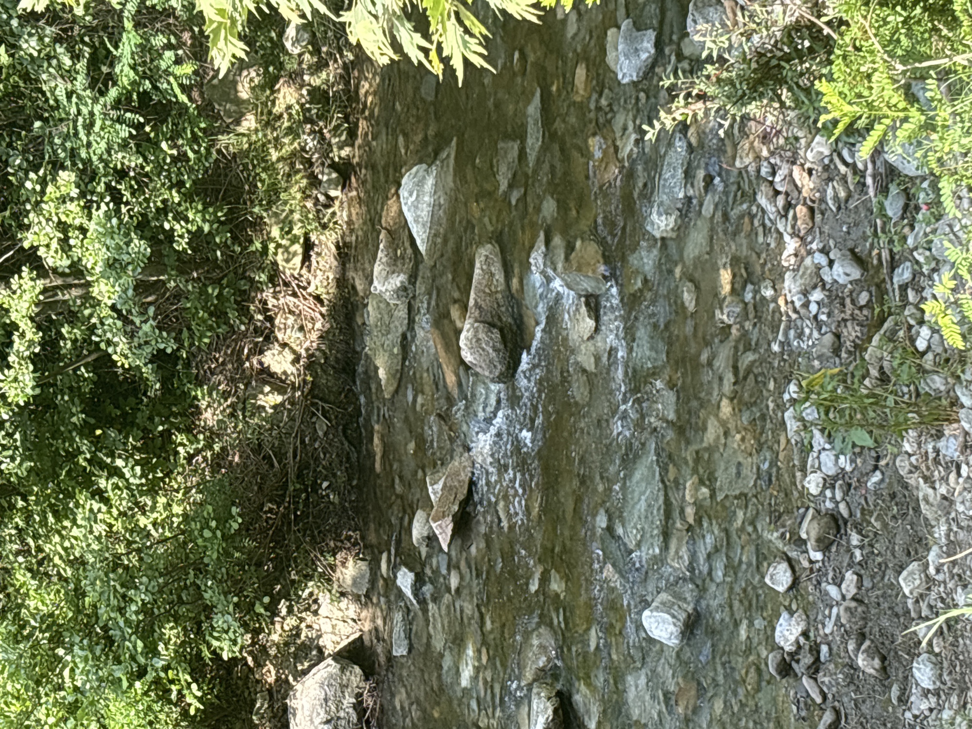 A clear, shallow stream flows over a rocky bed, bordered by lush green foliage and trees. The water is transparent enough to reveal the stones beneath the surface. Sunlight filters through the leaves, creating dappled patterns on the water and rocks. The scene is tranquil and natural, suggesting an outdoor setting, possibly in the countryside or a park. The specific location in the city of Gurkovo, Bulgaria, is not discernible from the visual information provided in the image itself.