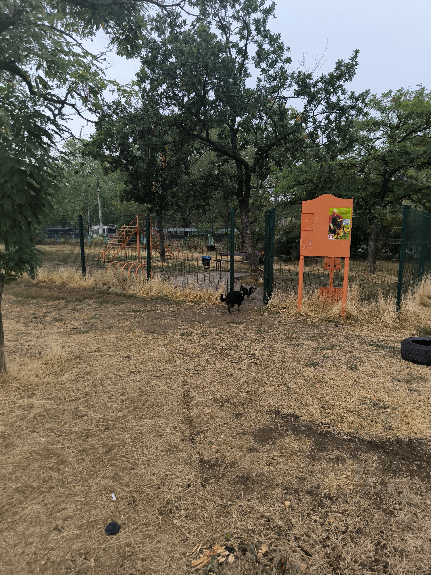 This is a photograph of an outdoor dog park in Mykolaiv, Ukraine. The park features a fenced-in area with dry, straw-like grass covering most of the ground. In the background, there is playground equipment, including an orange slide structure with stairs. A bright orange information board stands near the center of the park, displaying a poster with images of people and dogs and some text in Cyrillic. Two dogs are visible within the fenced area: a black and white dog and a smaller black dog. To the right of the orange board, a black tire lies on the ground. The overall environment appears somewhat overgrown and dry, suggesting it might be late summer or early autumn. The sky is overcast.