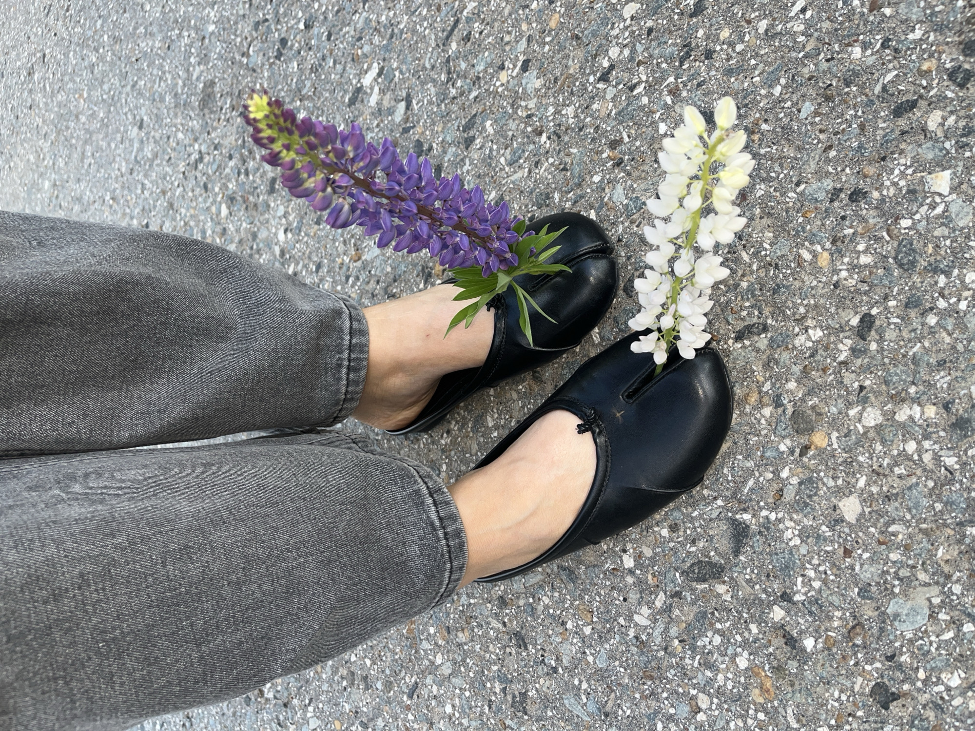An overhead, close-up shot captures a person's legs and feet positioned on a textured ground surface. The person is wearing dark grey denim jeans, slightly cuffed at the ankles. Their feet are clad in black split-toe flats, commonly known as tabi shoes.
A long stalk of vibrant purple lupine flowers, complete with green leaves, is artfully placed into the toe split of the left shoe. Similarly, a stalk of white lupine flowers is inserted into the toe split of the right shoe. The ground beneath is a coarse, speckled asphalt or gravel surface, featuring a mix of grey, white, and dark pebbles.
The lighting is bright and even, suggesting it is daytime in an outdoor setting. The scene appears to be a still, posed shot, possibly for artistic or fashion purposes, integrating elements of nature with personal attire. There is no discernible activity other than the arrangement of the feet and flowers. No visible text is present in the image. The location context for this image is Bol'shoi Bukor, Russia.