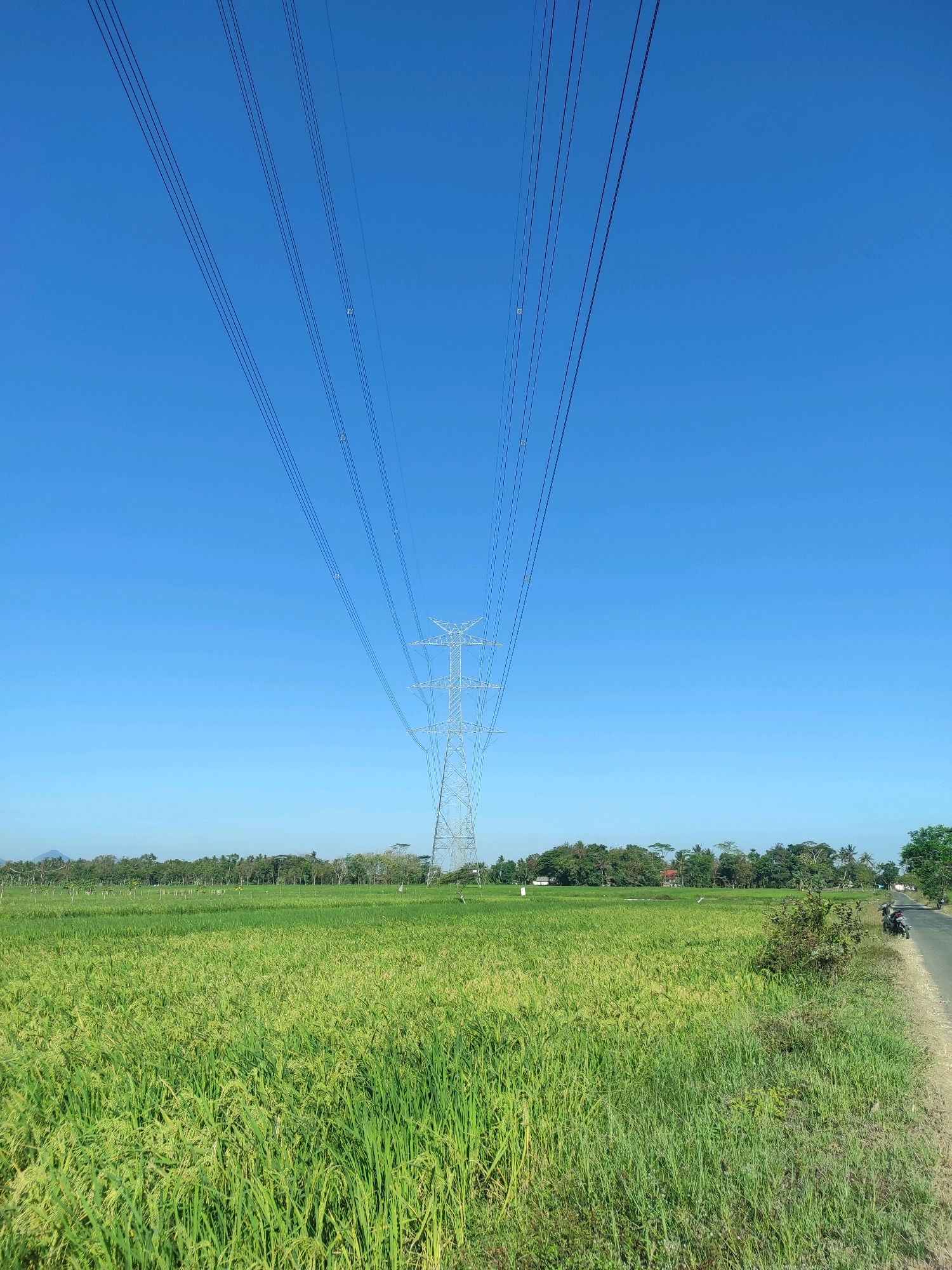 The image depicts a clear, bright day in a rural area, likely near Keponggok, Indonesia, with a vast expanse of green rice fields. A towering electrical pylon stands prominently in the mid-ground, its metallic structure stark against the vibrant blue sky. Multiple power lines extend diagonally across the upper portion of the frame, connecting to the pylon. The rice paddies are dense with ripening grain, showing variations in green hues. Along the right edge of the image, a paved road runs alongside the field, with a motorcycle parked on its shoulder. In the background, a line of trees and some distant buildings suggest a small settlement or village. The overall scene is one of agricultural landscape under a cloudless sky, dominated by the presence of the electrical infrastructure.