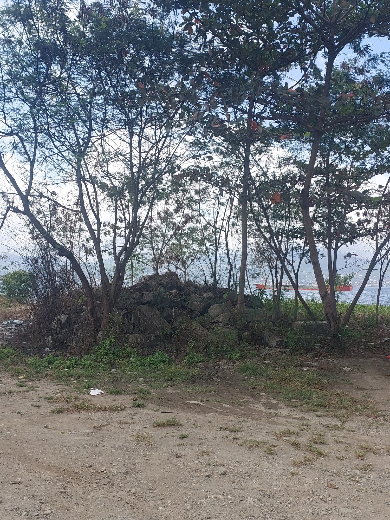 The image shows a waterfront scene with a pile of rocks in the foreground, partially obscured by trees. In the background, a red cargo ship is visible on the water. The scene appears to be located in Ambon, Indonesia, given the presence of tropical vegetation and the style of the ship. The area seems undeveloped, with a dirt path leading to the waterfront. The sky is overcast, suggesting a cloudy or possibly rainy day.