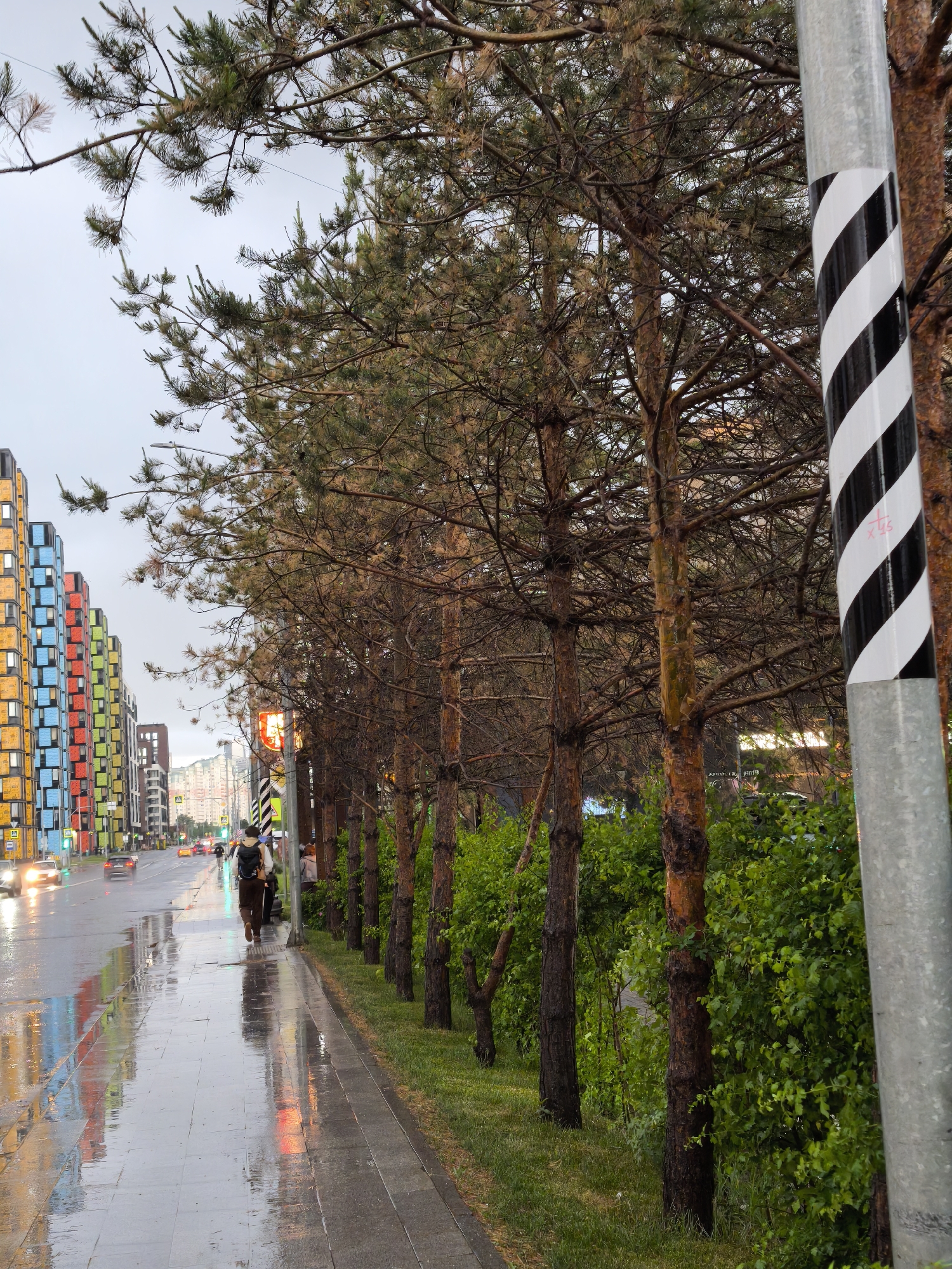 The image depicts a wet urban street scene in Moscow, Russia, after a rain. A person with a backpack is walking away from the camera on a wet sidewalk. The street reflects the colorful buildings lining the left side of the road. A row of trees is planted along the sidewalk, with a striped utility pole in the foreground. Cars are driving on the wet road. The scene is overcast.