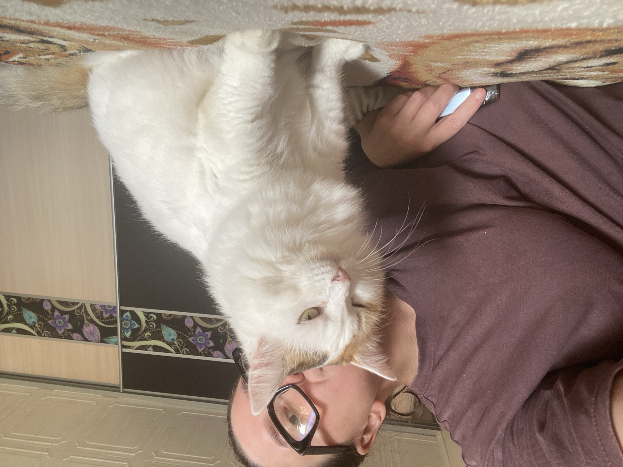 A person wearing glasses and a maroon t-shirt is leaning over and holding a white and tan cat. The cat is sitting on a patterned surface that appears to be a bedspread or blanket. In the background, there are sliding closet doors with a decorative floral pattern. The scene is indoors. There are no identifiable landmarks or context to determine a specific location in Chaikovsky, Russia.