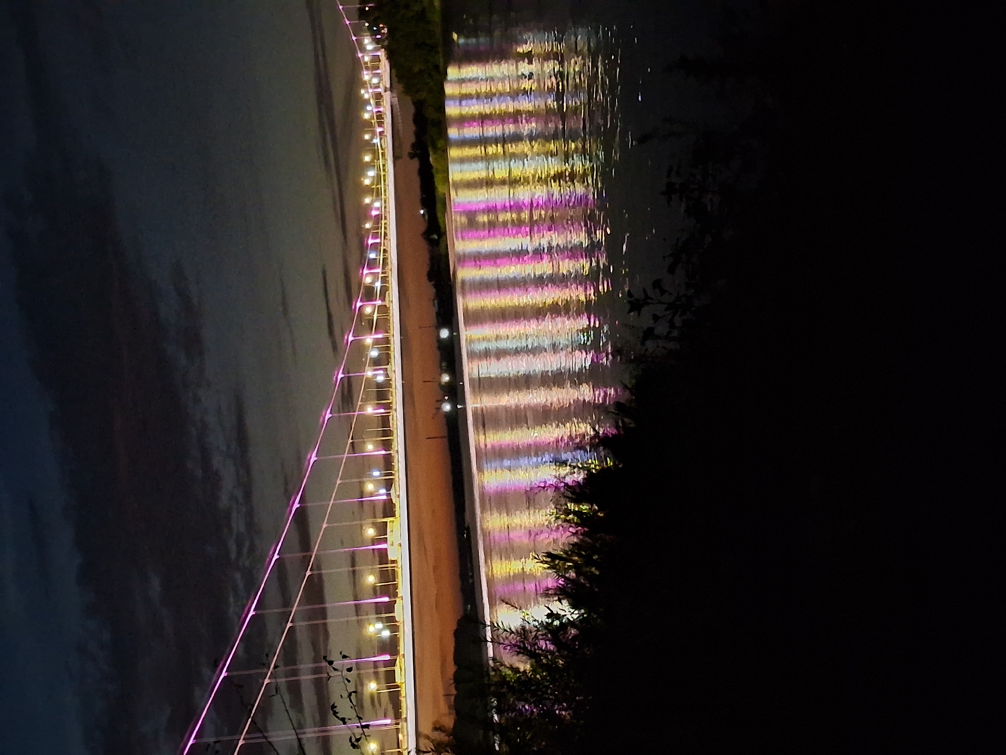 The image shows the Irtysh River at night in Semey, Kazakhstan. A suspension bridge, illuminated with pink and white lights, spans the river. The lights of the bridge are reflected in the water, creating a colorful, shimmering pattern. The sky is dark with scattered clouds, and the foreground is silhouetted by dark foliage. There are no people visible in the image.