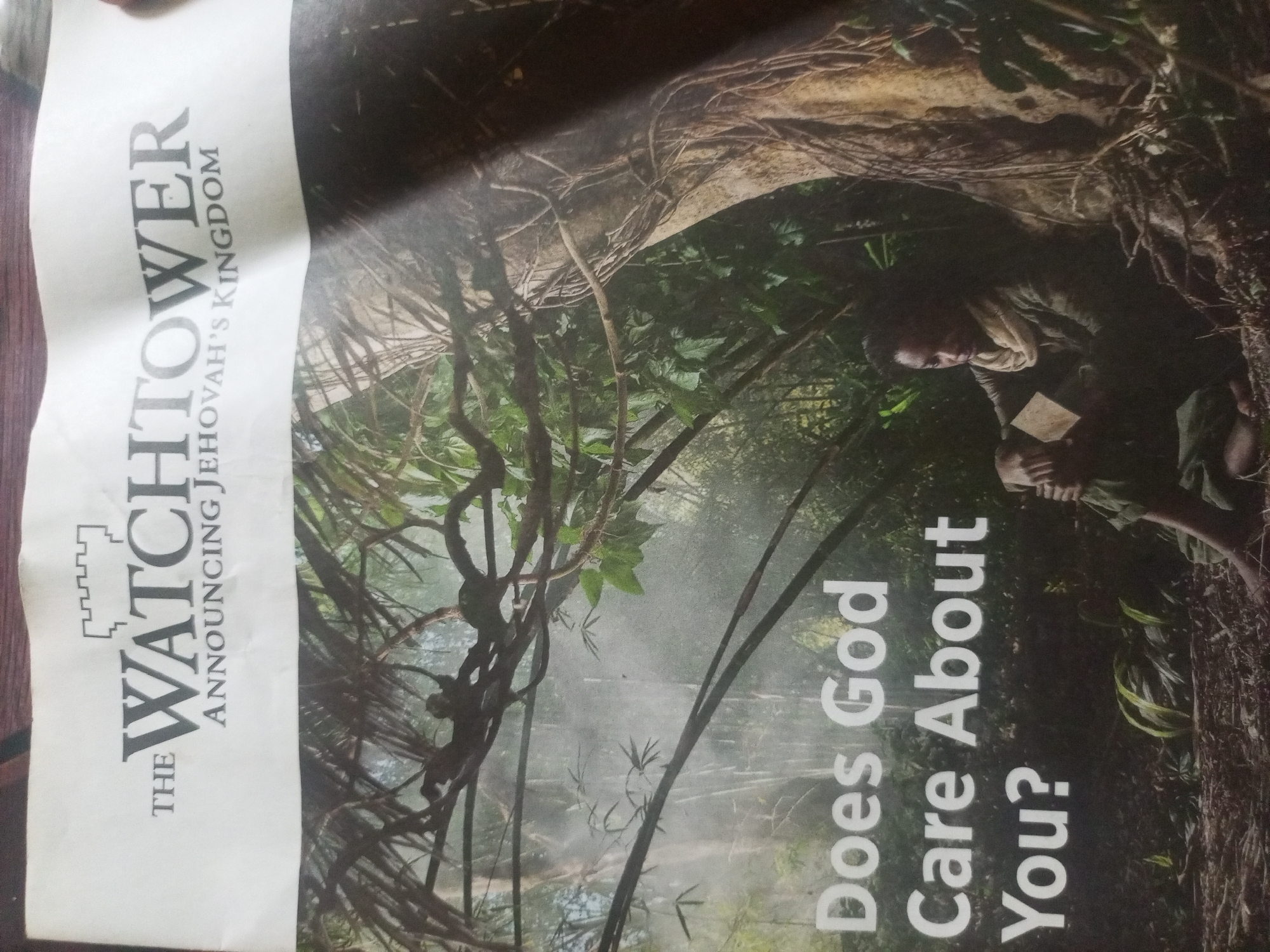 The image is a close-up of a magazine cover, titled "THE WATCHTOWER," with the subtitle "ANNOUNCING JEHOVAH'S KINGDOM." The cover features a photograph of a person with dark hair and skin, wearing a light-colored head covering and dark clothing. The person is seated in a lush, green forest environment, possibly a jungle, with thick vegetation and vines. The person is holding a small, light-colored object in their hands, which could be a pamphlet or a piece of paper. The text on the cover also includes the question, "Does God Care About You?". The lighting in the image is somewhat dim, creating a moody atmosphere, with a hazy or misty effect in the background. The image's orientation is rotated, with the text running vertically along the left side and bottom of the frame. There is no visible indication of the city of Jalingo, Nigeria, within the image itself.