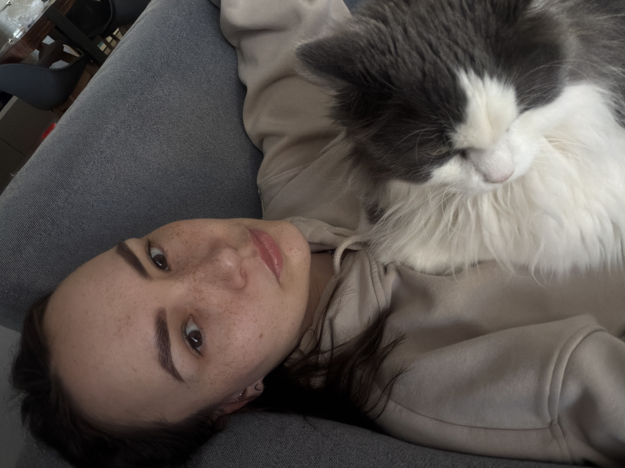 A high-angle, diagonally oriented indoor portrait captures a young woman and a domestic cat resting together on a grey fabric surface, likely a sofa or bed. The woman, positioned on the left side of the frame, has dark hair, defined eyebrows, dark brown eyes, and numerous freckles across her nose and cheeks. Her lips are slightly parted, revealing a soft pink color, and she looks calmly towards the camera, conveying a sense of tranquility. She is wearing a light-colored (beige or light grey) hooded sweatshirt.
A fluffy, long-haired cat with grey and white fur is nestled closely against the woman's upper body, occupying the right side of the frame. Its face is partially obscured as it rests, showing its pink nose and white muzzle, suggesting it is either sleeping or in a deeply relaxed state. The background is softly blurred but shows hints of indoor furniture, such as a table and chairs, indicating a home setting. The lighting is soft and even. No specific time of day or external weather conditions are discernible, and there is no visible text in the image. While the location context is given as Chaikovsky, Russia, the image itself does not contain specific visual cues to identify this location. The overall mood of the image is one of quiet companionship and comfort.