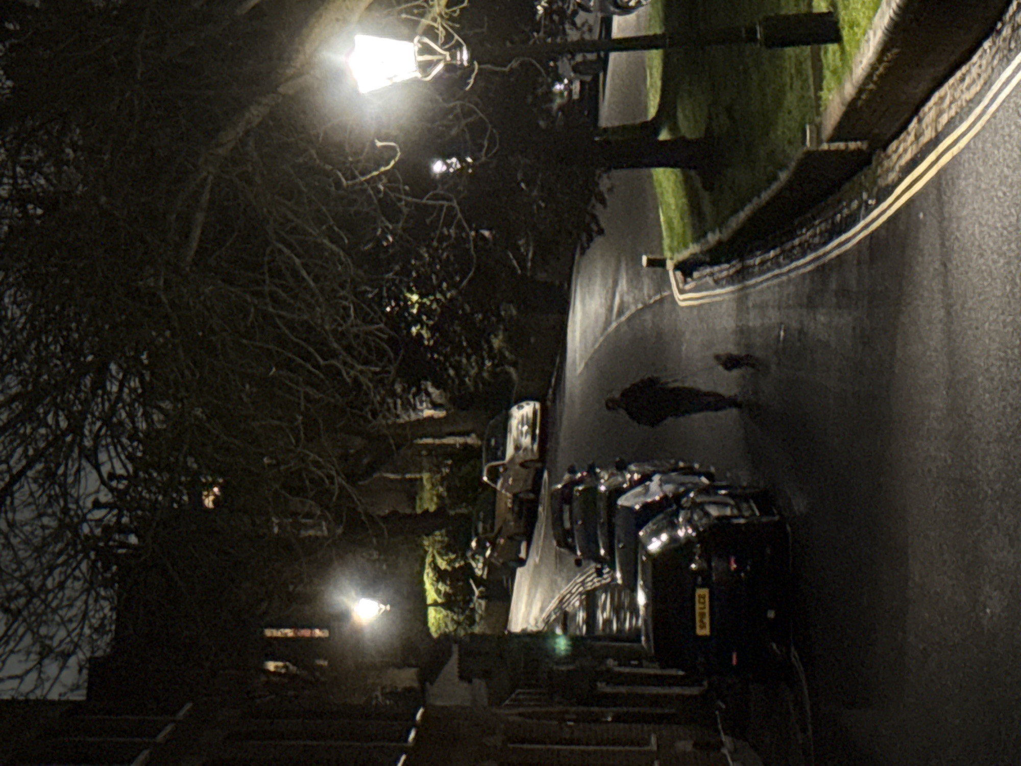The image displays a nighttime street scene in London, United Kingdom. A single individual, dressed in dark clothing, walks uphill on the asphalt road, accompanied by a small, dark-colored dog walking in front. The road features double yellow lines along the left curb. Multiple vehicles are parked in a linear arrangement on the left side of the street, with a dark-colored car in the foreground displaying a UK license plate "SP18 LCE". Traditional gas-lamp style streetlights provide illumination, with one prominent on the far right and another further up the left. Bare-branched trees densely line the right side of the road and are also present on the left. Brick buildings are visible on the left, some with illuminated windows. A low brick wall and grassy areas are present along the right side of the road.