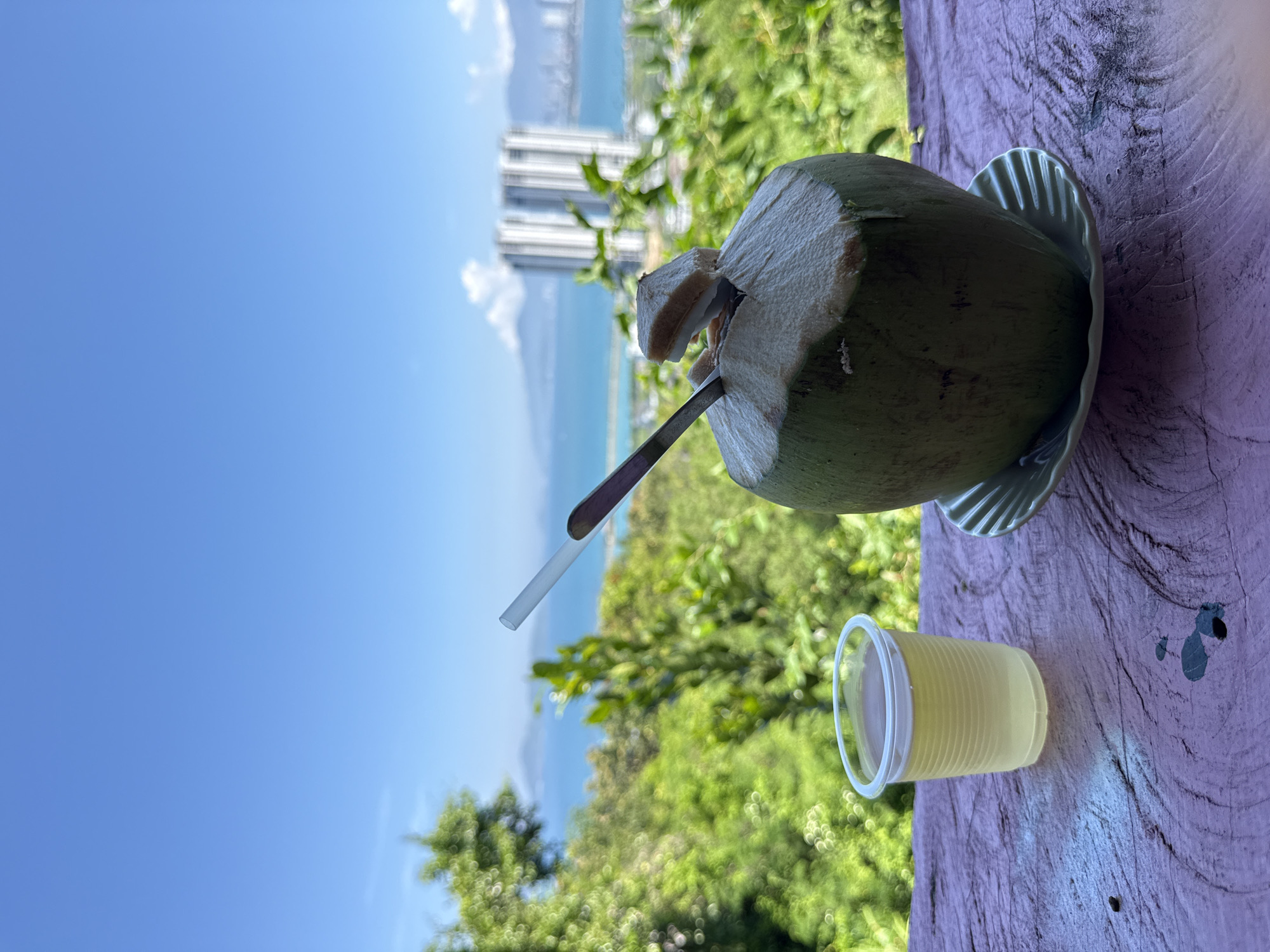 A whole coconut with a straw and a small glass of yellow liquid sit on a purple wooden table with a textured surface. The coconut is green and partially opened, with a small slice of coconut flesh visible at the top. A metal straw is inserted into the coconut. The glass is clear plastic and filled with a light yellow liquid. In the background, lush green trees and vegetation are visible, leading to a body of water with distant buildings on the horizon. The sky is a clear blue. The scene appears to be outdoors, possibly on a balcony or at a scenic overlook in Bac Nha Trang Ward, Vietnam, given the tropical foliage and coastal view with urban development.