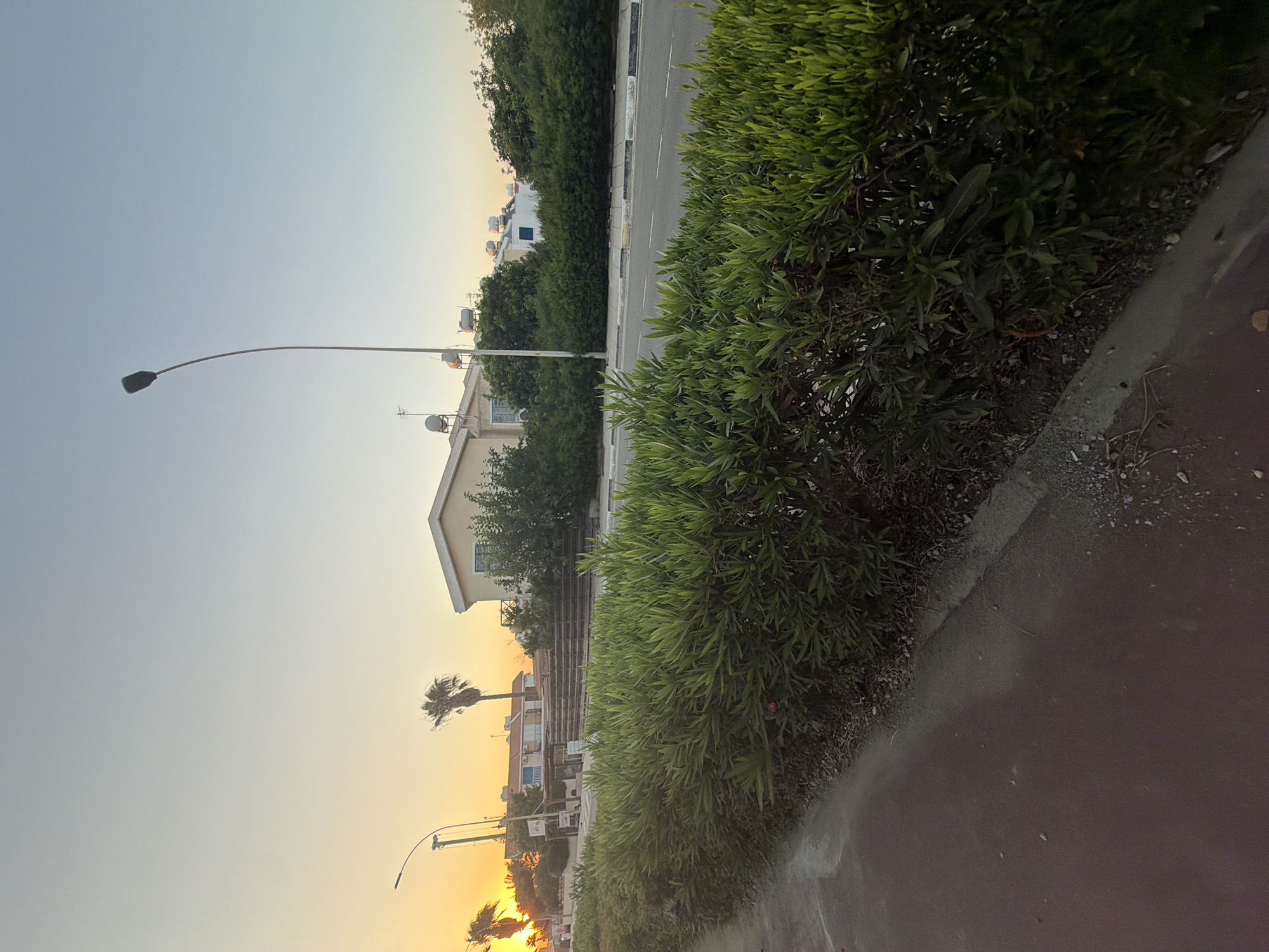 A street scene at dusk in Pervolia, Cyprus, is depicted. The foreground features a sidewalk with a reddish-brown surface and a concrete curb bordering a dense green hedge. Beyond the hedge, a two-lane asphalt road runs parallel to the sidewalk. Across the road, a row of low-rise buildings with pale yellow and white facades are visible, interspersed with mature trees and lush green bushes. Several solar water heaters are mounted on the rooftops. A tall, dark lamppost with a curved neck stands near the center of the image, its light fixture dark. The sky above is a gradient of pale yellow at the horizon, transitioning to a clear, pale blue at the top. The setting sun casts a warm glow on the left side of the image, silhouetting palm trees and illuminating the sky with orange and yellow hues. There are no people or vehicles visible in the frame.