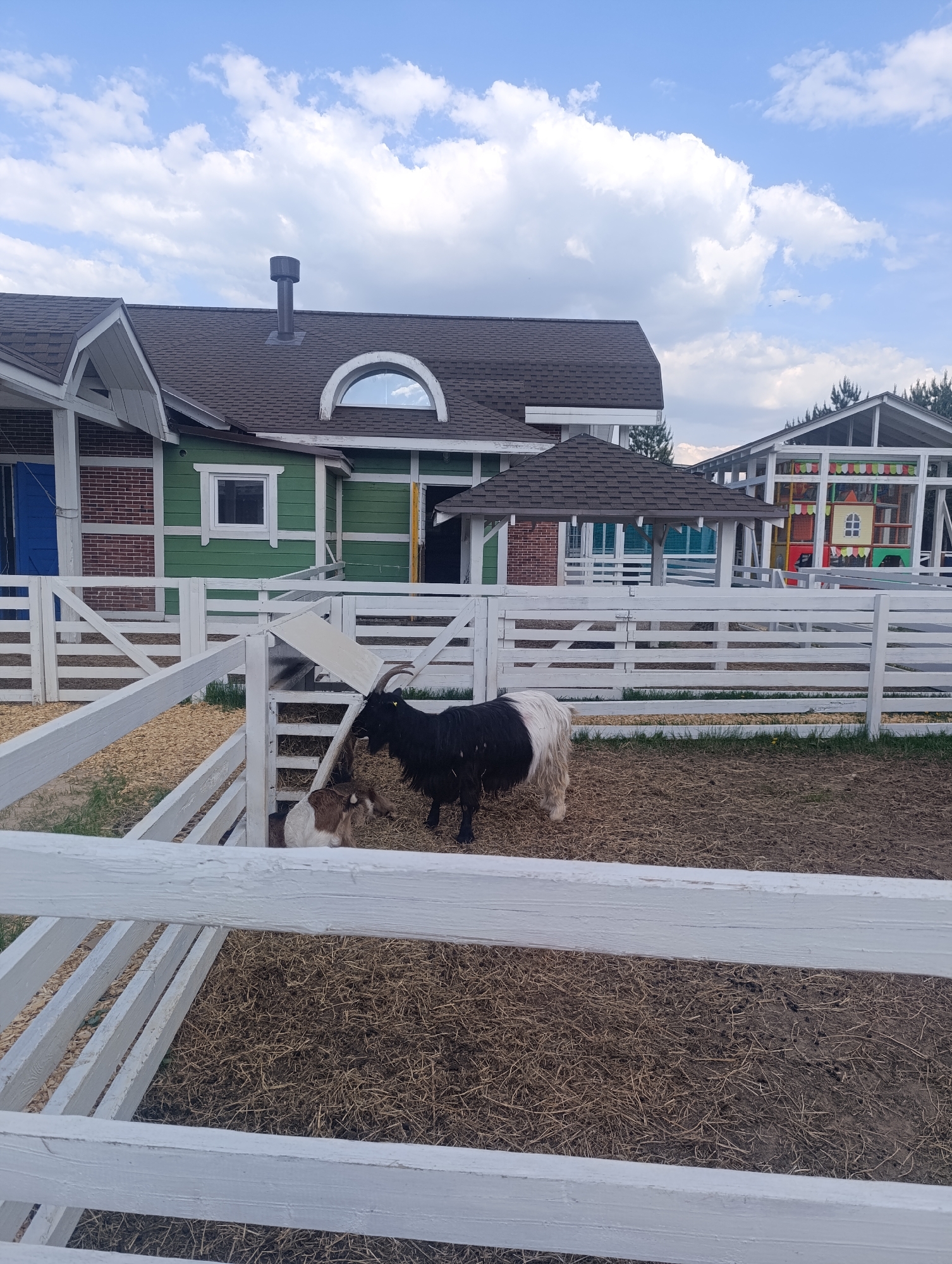 The image shows a fenced enclosure containing two goats, one predominantly black with white markings and the other brown and white. The enclosure is constructed with white wooden fencing and contains a substrate of straw or hay. Beyond the enclosure is a complex of buildings featuring green siding with white trim and brick accents, covered walkways, and a larger structure in the background that appears to be a playhouse or recreational facility. The sky is blue with scattered clouds. The location is Ivanovskoe, Russia.