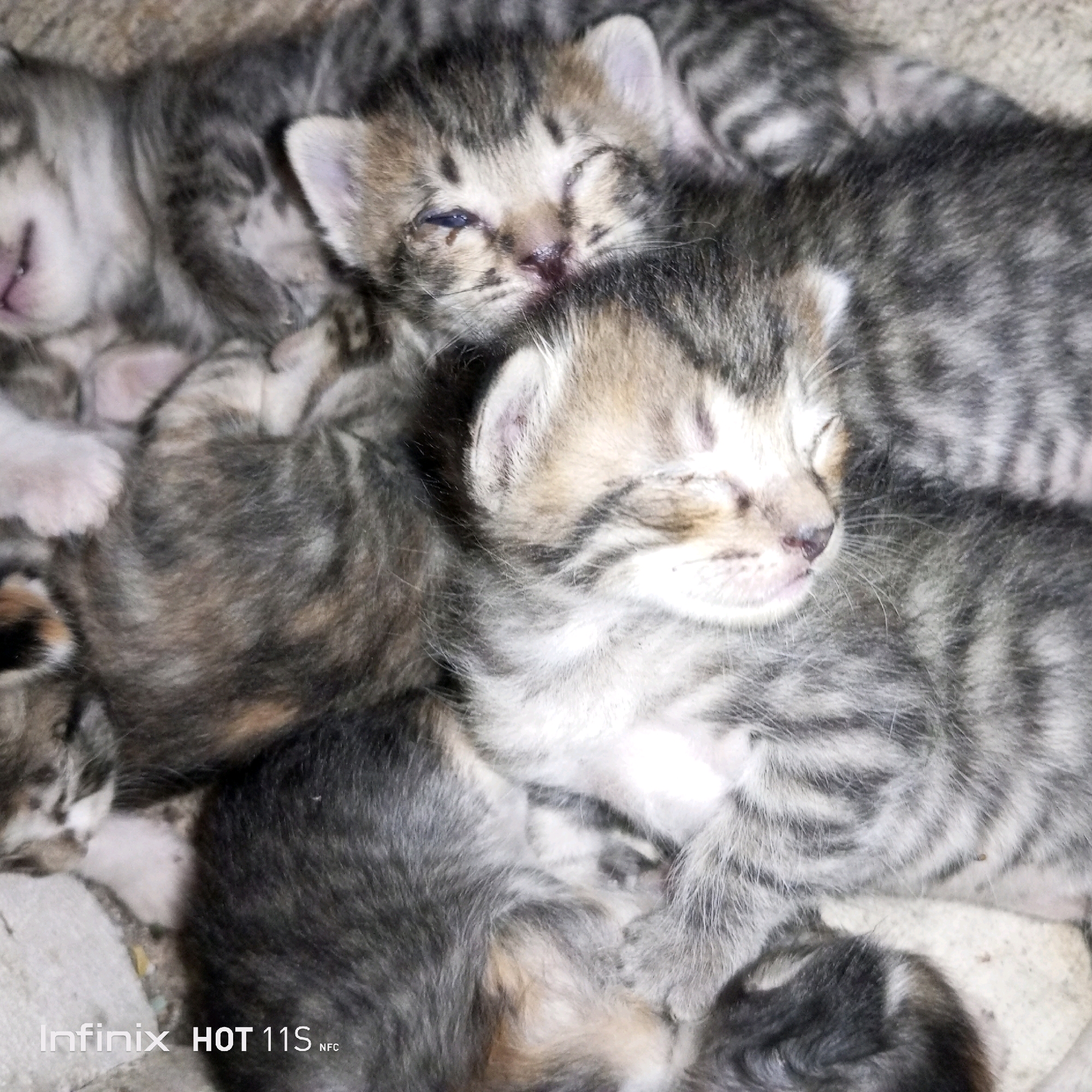 The image displays a close-up, overhead view of a pile of four young tabby kittens nestled together. The kittens' fur exhibits a pattern of gray, black, and brown stripes. Their eyes are mostly closed, with one kitten appearing to have one eye partially open. Their noses are pink, and their ears are small and rounded. The kittens are lying on a textured surface that appears to be a blanket or fabric. The overall impression is of a group of very young, sleeping animals. There are no discernible people or explicit environmental details that would indicate a specific location within Sukaslamet, Indonesia. The image is cropped tightly on the kittens, with no background elements that provide contextual information about the setting. A watermark at the bottom left of the image reads "Infinix HOT 11S NFC".