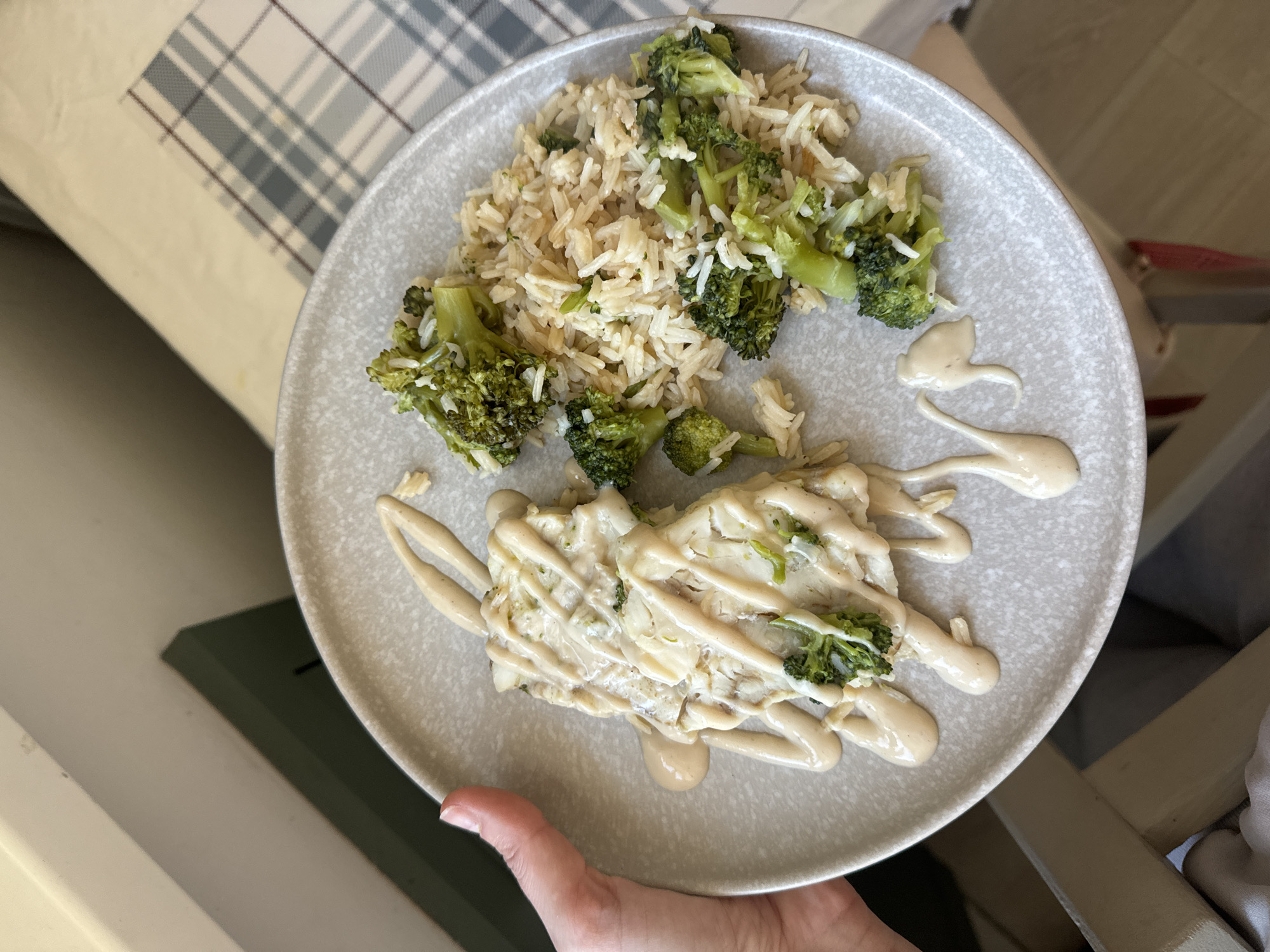 A close-up shot presents a beige speckled plate held by a hand. The plate contains two distinct food items: brown rice mixed with broccoli florets on one side, and a white dish drizzled with a beige sauce on the other. The food is situated near a surface covered by a beige tablecloth with a grey plaid pattern. The image appears to be taken indoors under natural lighting. The location is unknown, but the prompt asks me to include the city of Krasnoyarsk, Russia, in the description. Thus, I state that this is likely taken indoors in Krasnoyarsk, Russia.