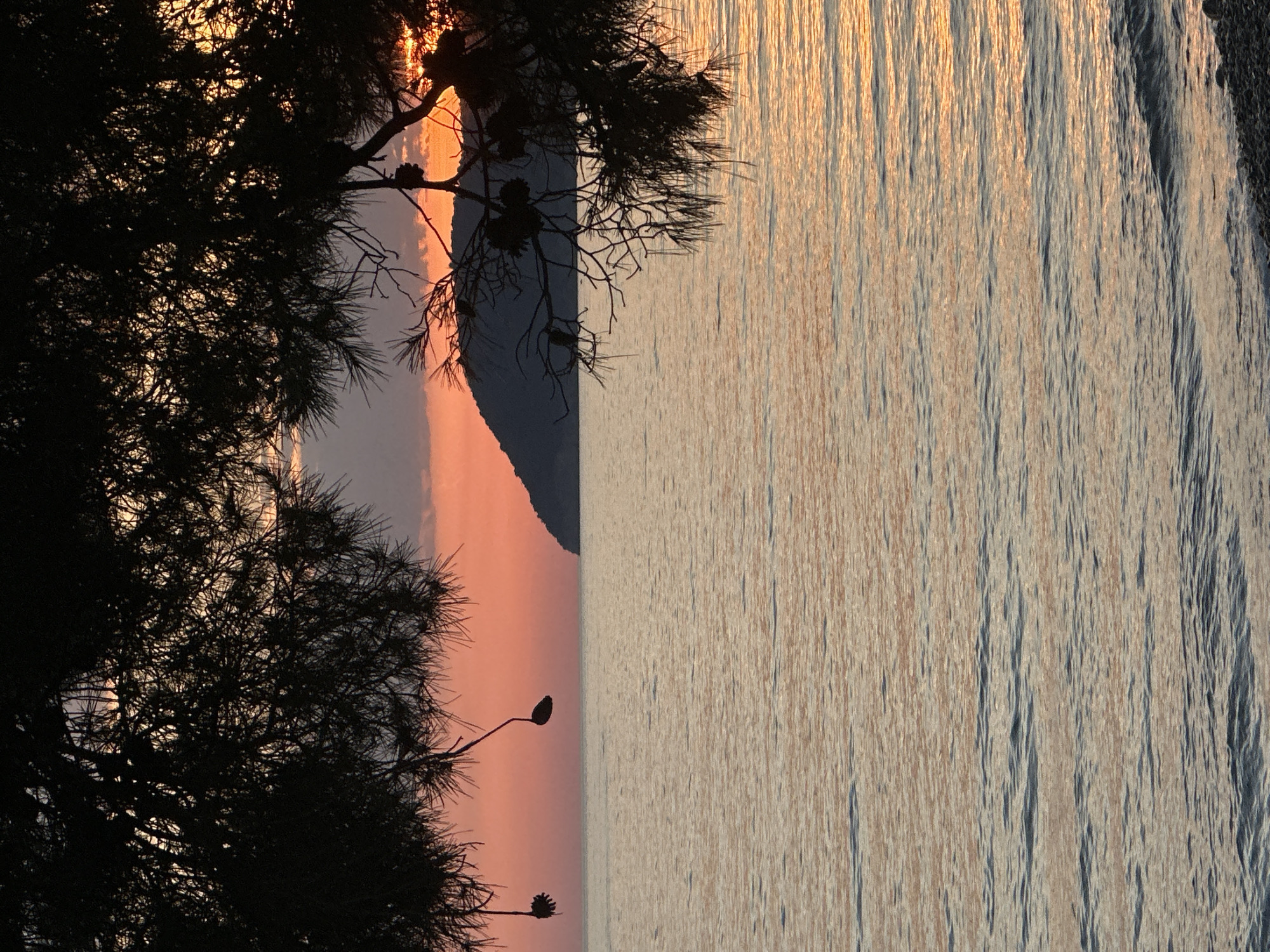 The photograph shows a sunset scene in Šušanj, Montenegro. Silhouetted tree branches occupy the left side of the frame, with the sun partially obscured behind them. The center of the image features a landmass silhouetted against the sky, colored in shades of orange and pink. The right side of the image is dominated by the sea, reflecting the colors of the sunset. The shoreline is visible at the very right edge.