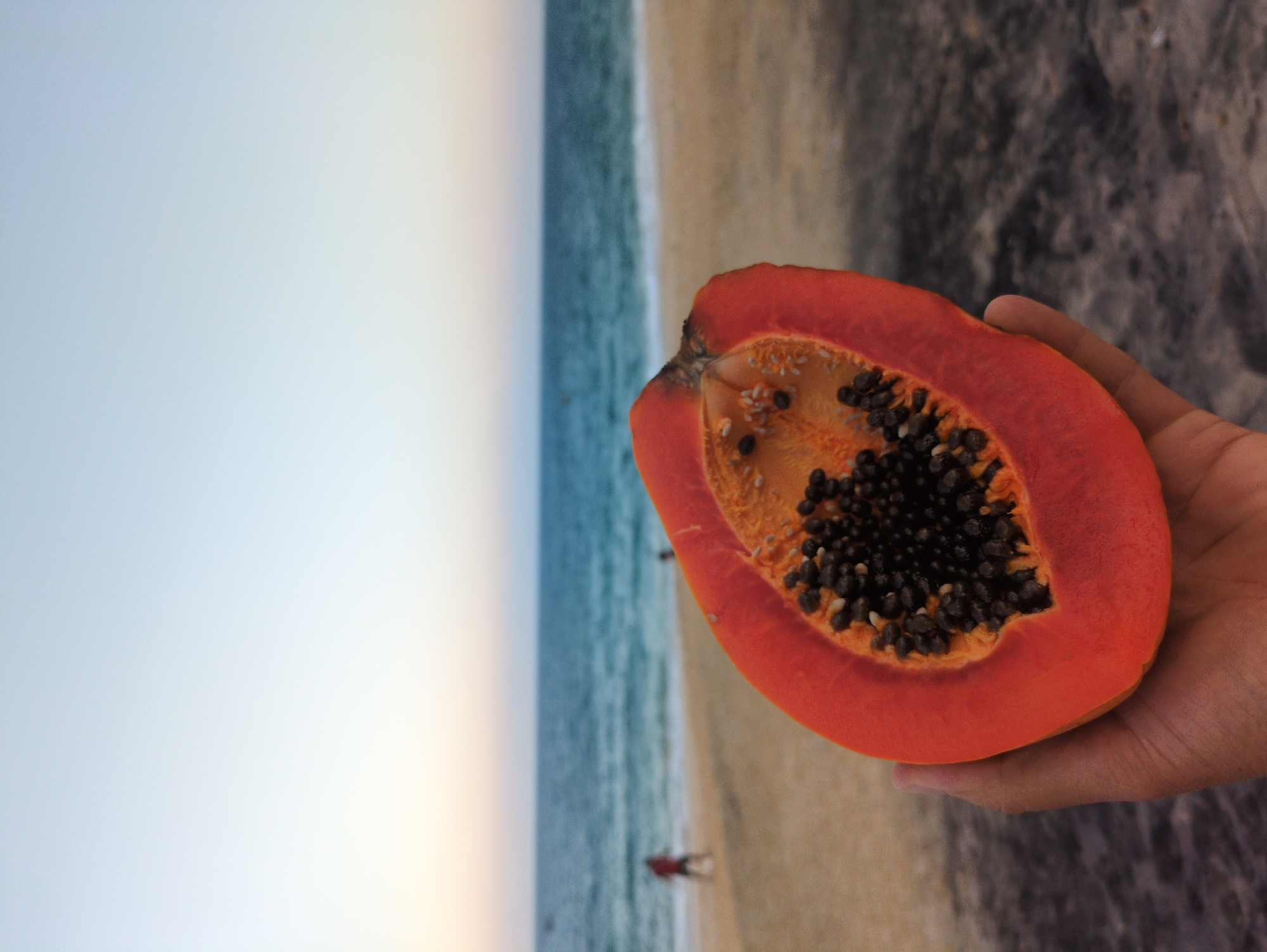 A human hand, light-skinned, holds a bisected ripe papaya in the immediate foreground. The papaya's exposed interior displays vibrant orange-red flesh and a dense cluster of black seeds. The scene is located on a beach in East Quy Nhon Ward, Vietnam. In the blurred midground, a light-colored sandy beach extends to the blue-green ocean, where small waves are breaking at the shore. Two indistinct human figures are visible on the beach; one figure, appearing to wear red, walks from left to right near the water's edge, and a second, less defined figure is partially visible further right. The sky, occupying the upper background, transitions from a pale orange hue near the horizon to a light blue overhead, indicative of either dawn or dusk.