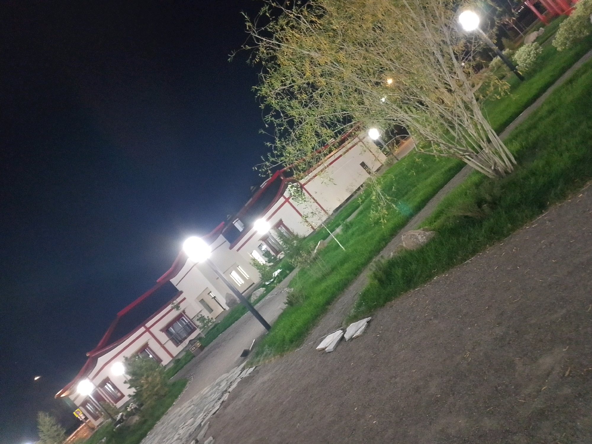 An exterior night shot captures a building with a white facade and red trim, possibly a restaurant or public building, situated in Kyzyl, Russia. The building is illuminated by multiple external lights, including street lamps that cast a warm glow on the surroundings. A young tree with sparse foliage stands to the right of the building, its branches reaching towards the sky. The ground is covered in a mixture of grass and gravel. In the background, another building with red accents and illuminated windows can be seen. The overall scene suggests a peaceful evening in a well-lit, urban environment.