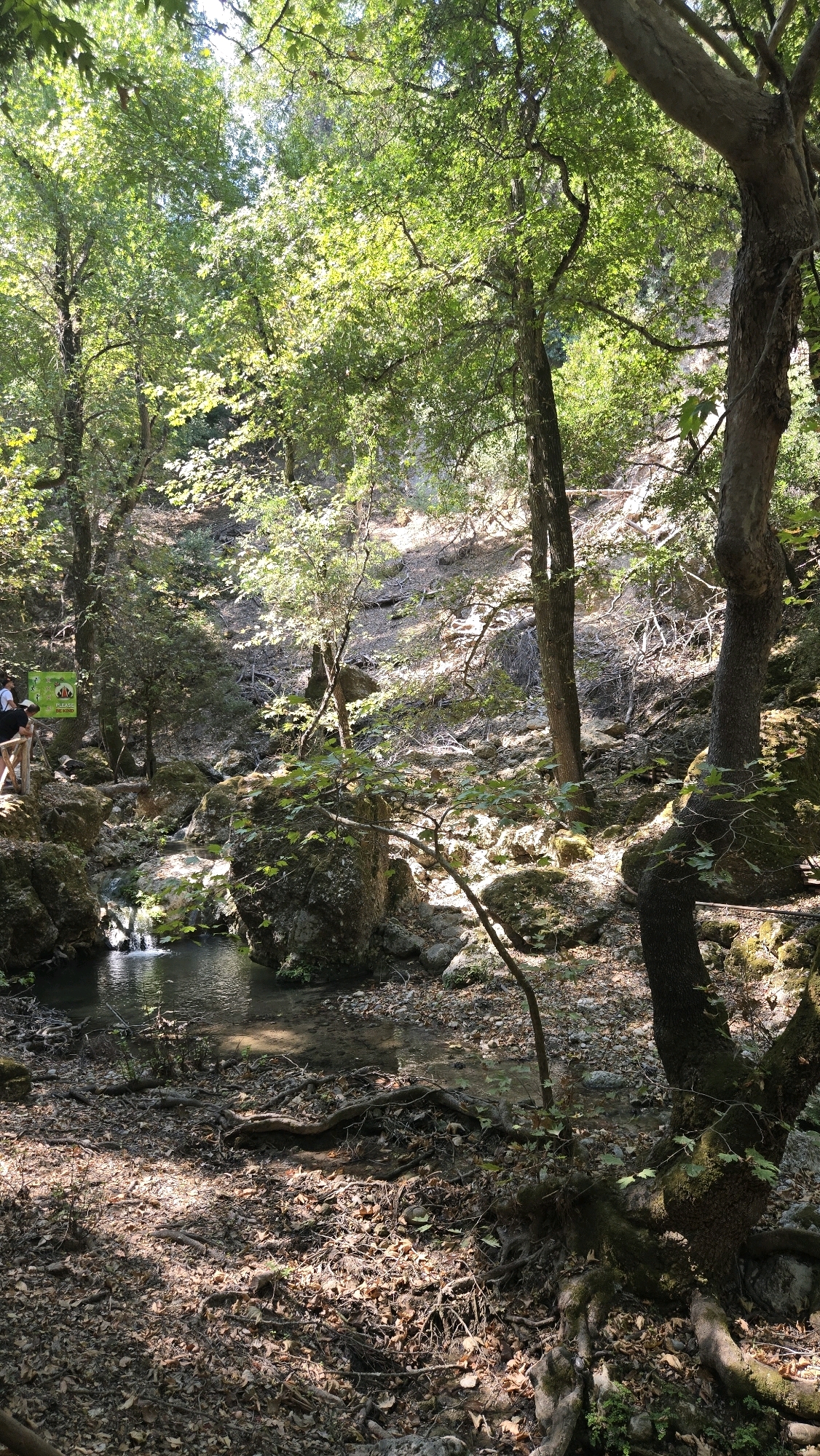 The image depicts a sun-dappled forest scene with a shallow stream flowing over rocks. Lush green foliage and trees dominate the upper portion of the frame, with sunlight filtering through the leaves. The ground is covered in fallen leaves and exposed tree roots, suggesting a natural, somewhat untamed environment. In the middle ground, large moss-covered rocks line the stream. On the left side of the image, a wooden railing and a green sign are visible, indicating a designated pathway or viewing area. Two individuals, partially visible, are standing near the railing, suggesting they are visitors or hikers. The overall setting appears to be a natural park or a forested area within the city of Rhodes, Greece, likely a place like the Seven Springs (Epta Piges), known for its lush vegetation and water features.