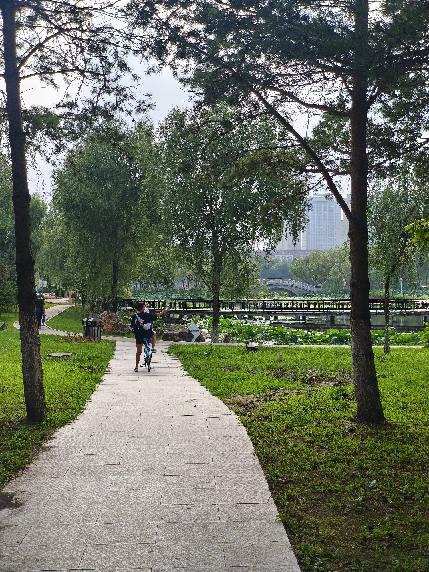 A young woman rides a blue bicycle on a paved pathway in a park in Changchun City, China. She is wearing a black t-shirt and shorts and has a white bag slung over her shoulder. She is pointing with her right hand towards a body of water with lily pads and a bridge in the distance. Trees line the pathway, and tall buildings can be seen in the background. The path is made of square concrete slabs and is bordered by green grass. The lighting suggests it is daytime, possibly early morning or late afternoon, with soft sunlight filtering through the trees. The overall scene depicts a peaceful park environment within an urban setting.
