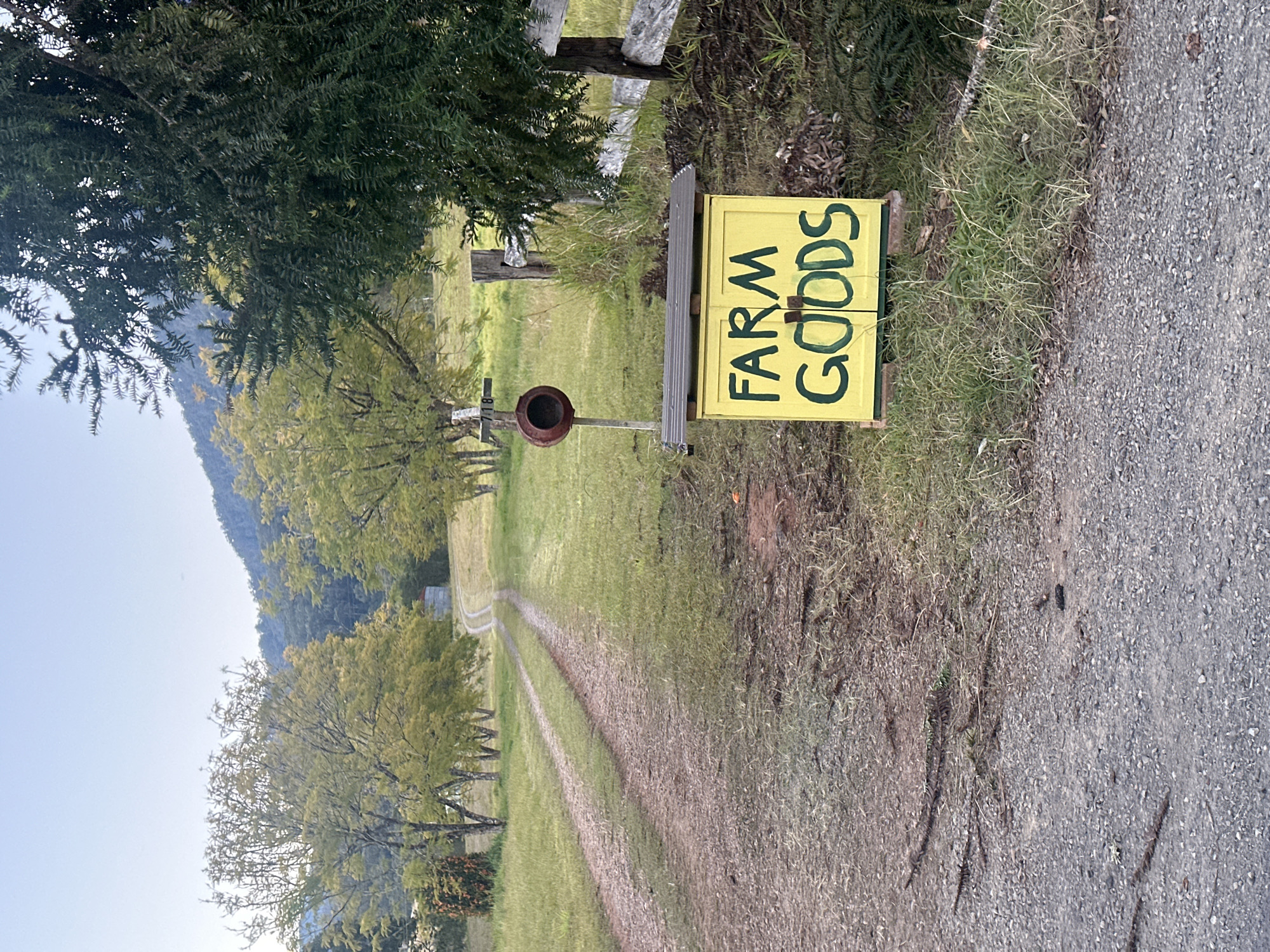 The image depicts an outdoor scene along a gravel driveway in Thora, Australia. On the right side of the frame, a bright yellow wooden box with the words "FARM GOODS" painted in green is visible. The box has a metal roof and two doors. To the left of the box, a wooden post supports a small, round, red bird feeder. A rustic wooden fence runs along the right edge of the driveway.
The driveway itself is made of gravel and leads uphill into the distance, flanked by grassy fields and trees. The trees on the left side of the driveway have light green foliage, while a large, dark green coniferous tree dominates the right foreground. In the background, rolling hills with scattered trees and a clear sky are visible. The overall impression is one of rural tranquility. There are no people or animals in the image.