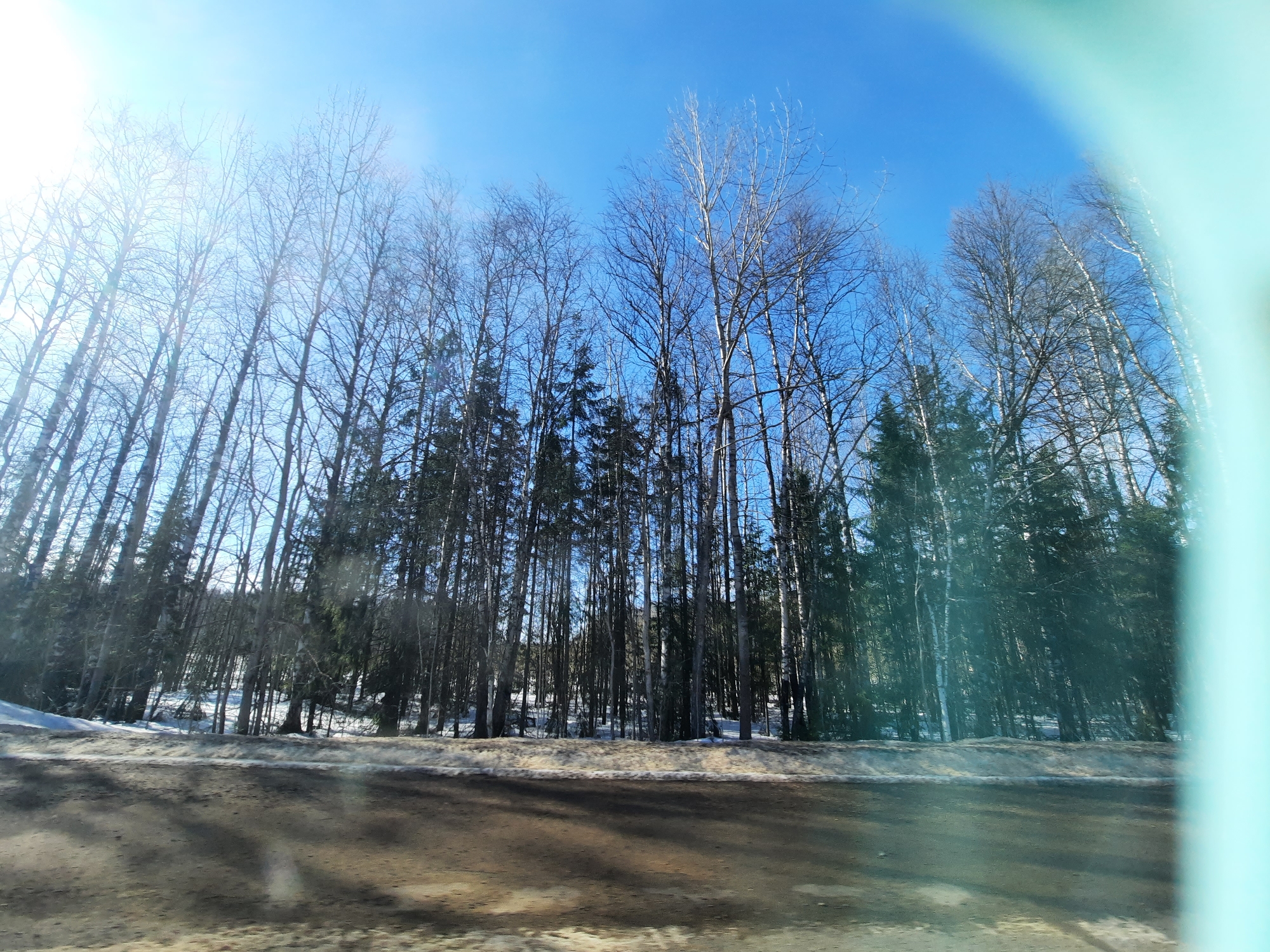 The image presents a roadside view in Krasnogorskoye, Russia, under clear, sunny conditions. The foreground consists of a thawed, muddy-brown road surface, showing patches of residual snow and slush. Immediately beyond the road is a snow-covered embankment, which transitions into a dense forest. The forest comprises a mixture of tall, bare deciduous trees with light-colored bark, interspersed with dark green coniferous trees. A vivid, cloudless blue sky occupies the upper portion of the frame, with intense sunlight originating from the upper left, causing lens flare. No individuals or active subjects are present. A blurred, light-blue/cyan element, consistent with a vehicle's interior or window frame, is visible along the extreme right edge of the composition. The overall environment suggests late winter or early spring.