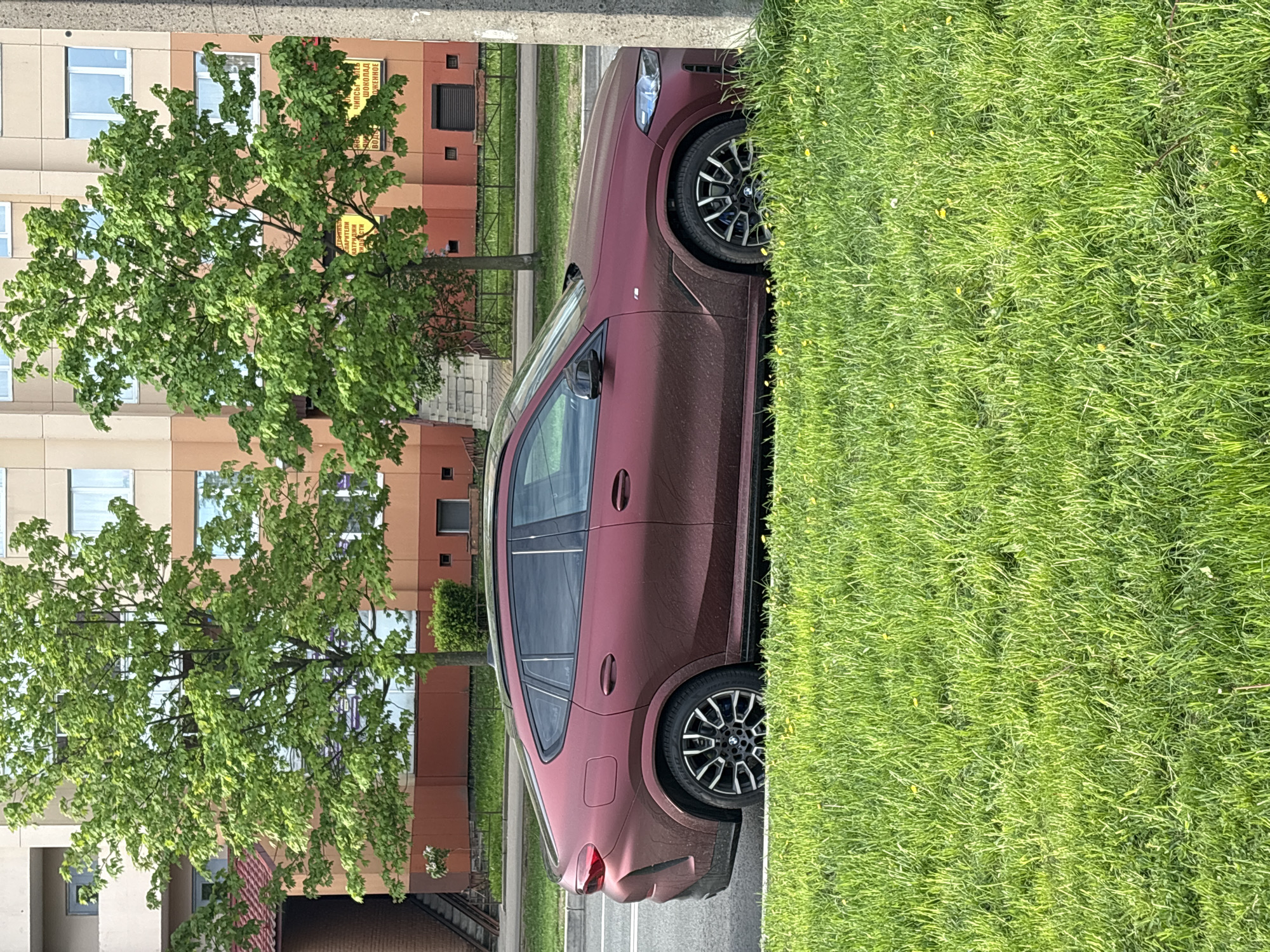 A burgundy-colored car, likely a BMW X6, is parked along a curb in Saint Petersburg, Russia. The car is situated between the curb and a patch of green grass. Behind the car and to the left, there is a tree with green leaves. In the background, a multi-story building with beige and brown sections can be seen, and windows are visible. The setting appears to be a residential or urban area. There are no people visible in the image.