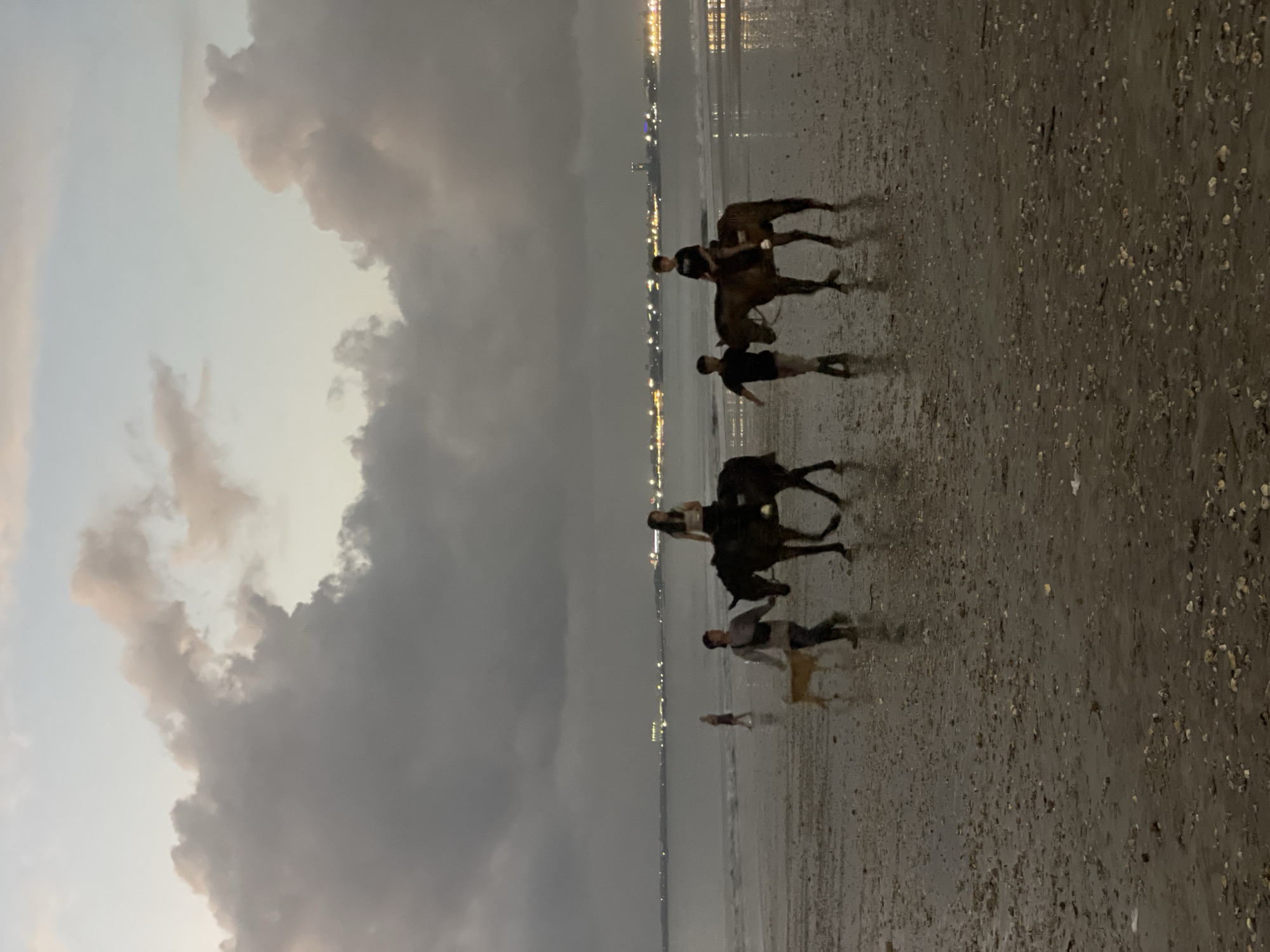 The image depicts a group of people on horseback on a beach. The sky is overcast with dramatic clouds, suggesting either dawn or dusk. In the background, a distant city skyline with lights is visible, indicating a coastal urban setting. The beach appears to be wet and sandy, with small pebbles scattered across the surface. The activity appears to be a leisurely ride along the shoreline. The lighting and colors suggest a muted, possibly cooler, time of day. There is no visible text in the image. The overall mood is serene, with the horses and riders appearing as silhouetted figures against the slightly brighter horizon.