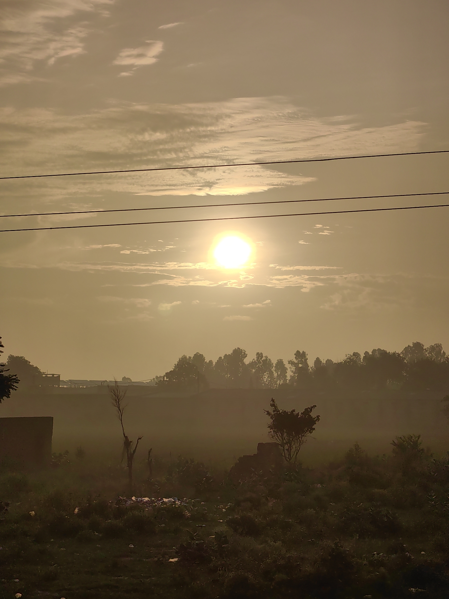 The image depicts a rural landscape bathed in the golden light of a setting or rising sun. In the foreground, there is dense vegetation and some debris scattered on the ground. A rectangular concrete structure is visible on the left side of the frame. Further into the middle ground, a barren tree stands out against the hazy background. Beyond that, a line of trees forms a silhouette against the bright sky. Three power lines stretch horizontally across the upper portion of the image. The sky is filled with scattered clouds, and the sun is a luminous orb in the upper right quadrant. The overall atmosphere is serene and somewhat misty. The scene appears to be located in or around Kohana, India, based on the provided information.