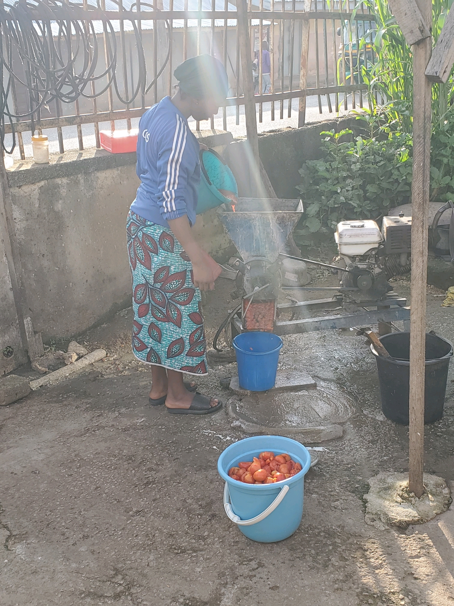 A woman, wearing a blue tracksuit and a patterned skirt, stands next to a tomato-processing machine in an outdoor area. The machine, powered by an engine, is processing tomatoes. A blue bucket filled with tomatoes sits on the ground in the foreground, and another blue bucket is positioned near the machine. A large black bucket is to the right of the scene. The ground is wet and appears to be a mixture of dirt and gravel. In the background, a metal fence encloses the area, with foliage and buildings visible beyond. The setting suggests a semi-urban or rural environment, consistent with the outskirts of Jos, Nigeria, where such agricultural processing activities might take place. The lighting indicates it is daytime, possibly morning or late afternoon due to the angle of the sun.